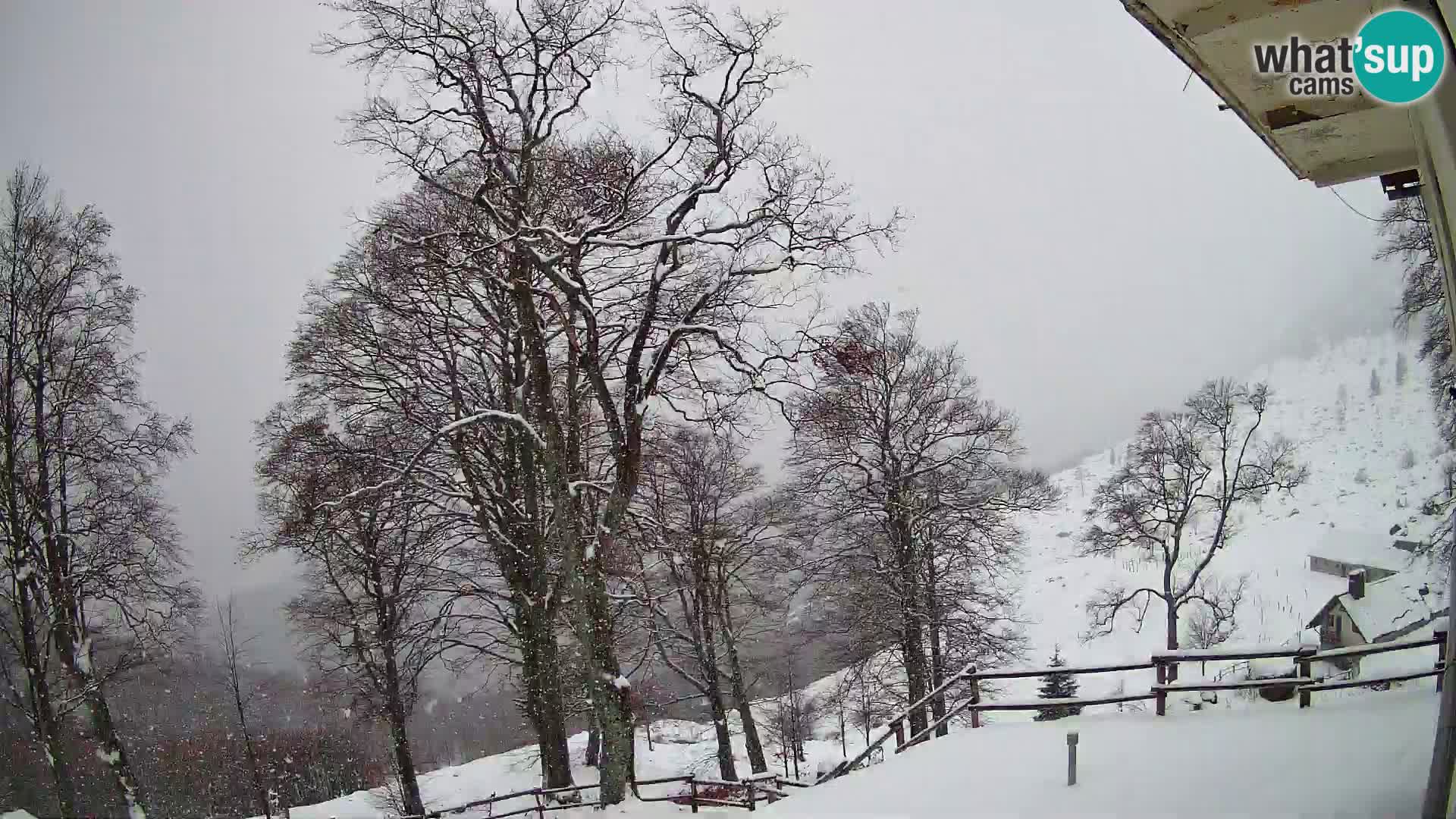 Planina Razor Mountain Hut live cam (1315) | view to Tolminski Migovec