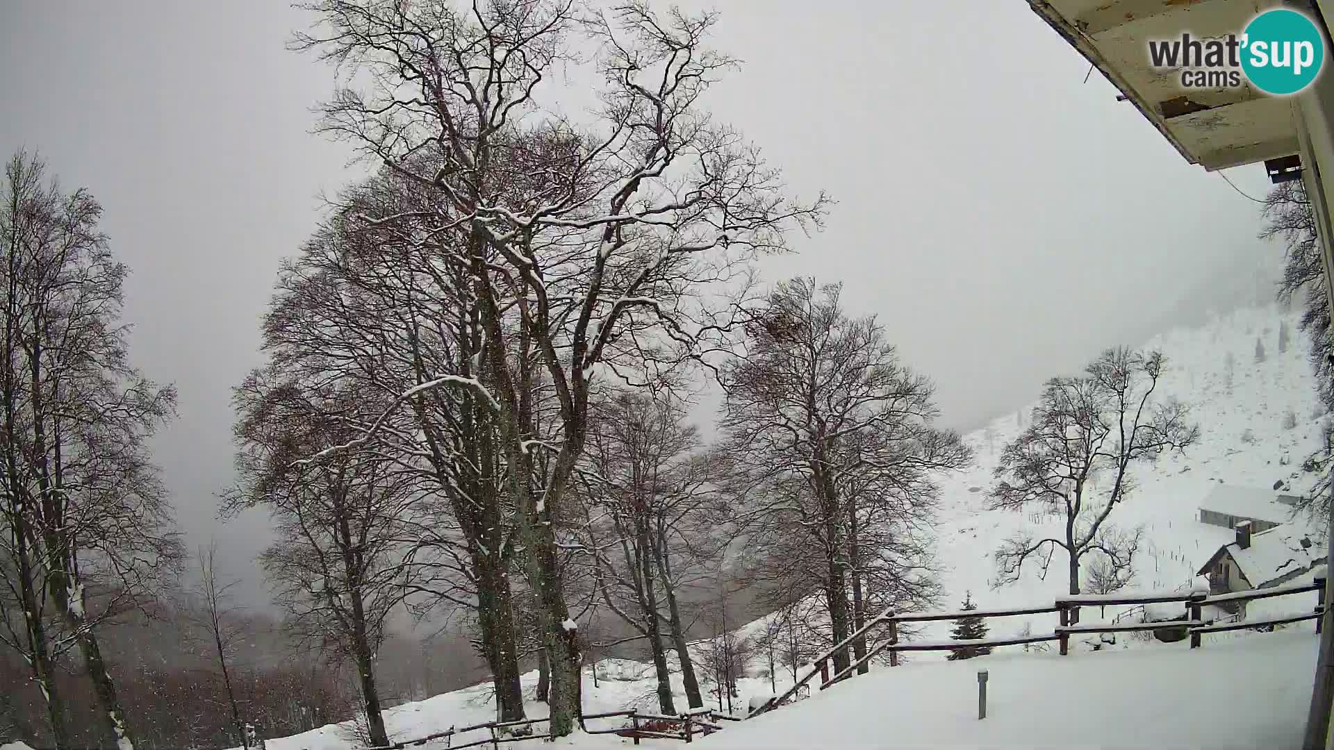 Planina Razor Mountain Hut live cam (1315) | view to Tolminski Migovec