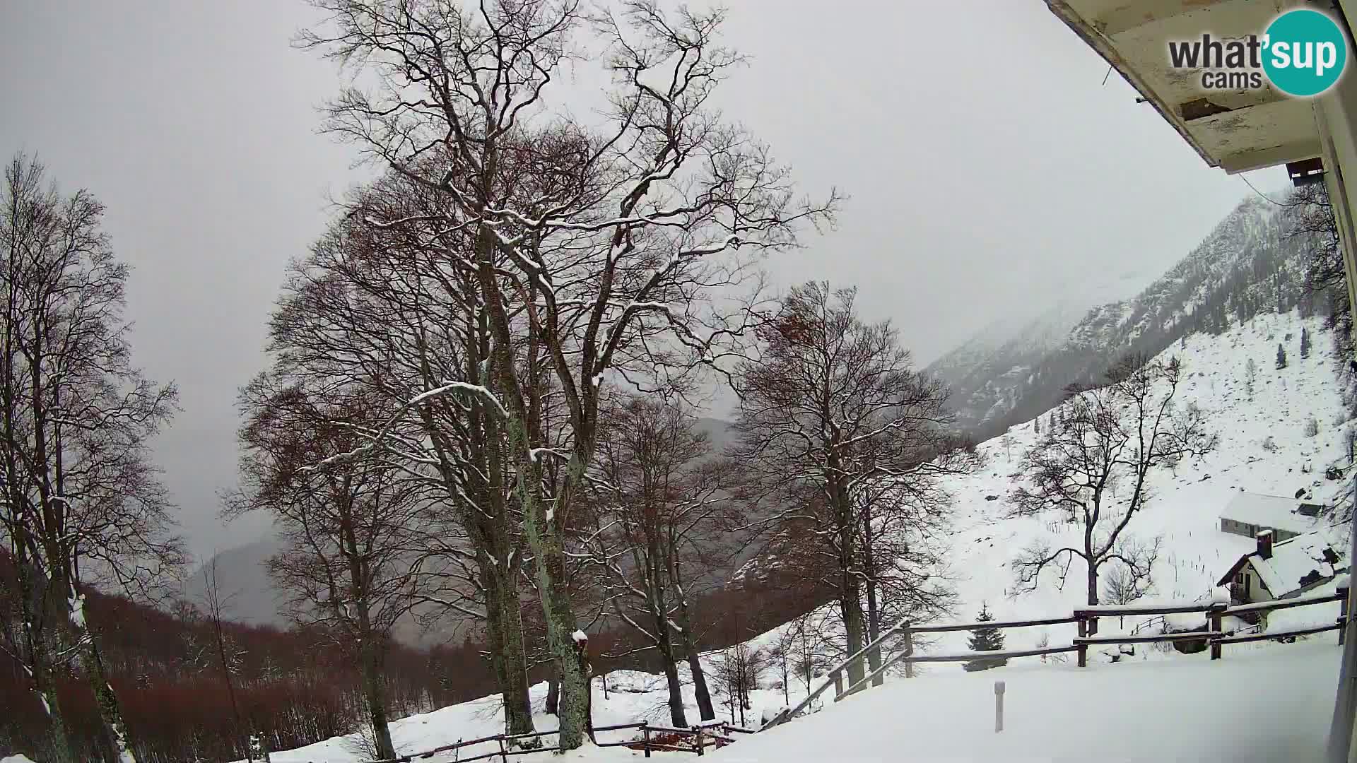 Planina Razor Bergütte Webcam (1315) | Blick auf Tolminski Migovec