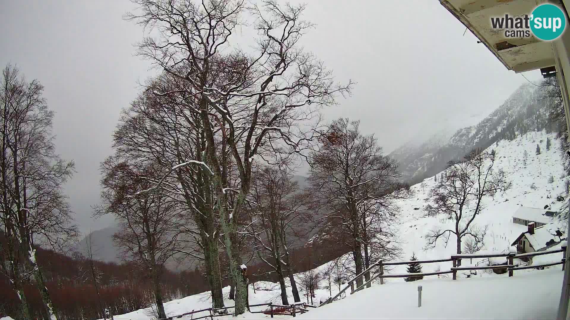 Cámara en vivo de la cabaña de montaña Planina Razor (1315) | vista hacia Tolminski Migovec