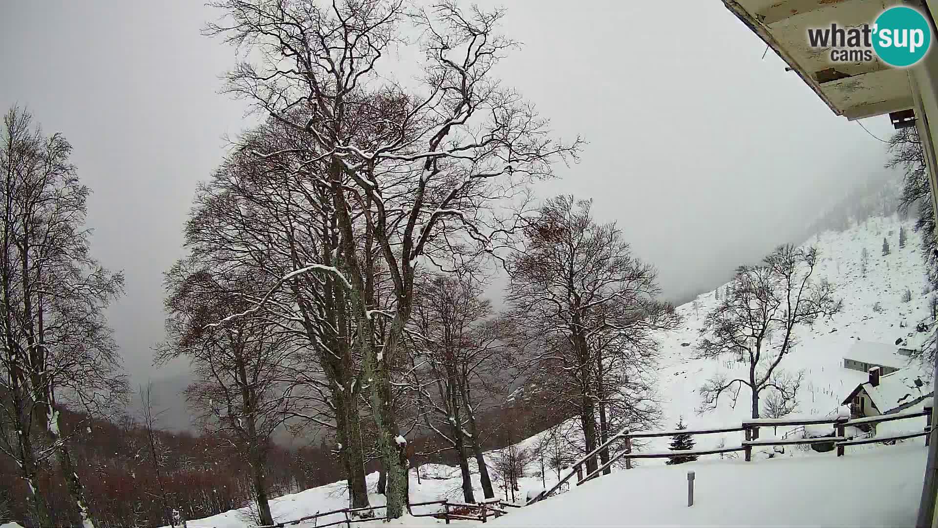 Planina Razor Mountain Hut live cam (1315) | view to Tolminski Migovec