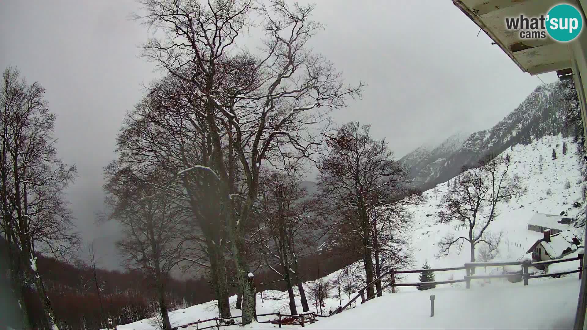 Planina Razor Mountain Hut live cam (1315) | view to Tolminski Migovec