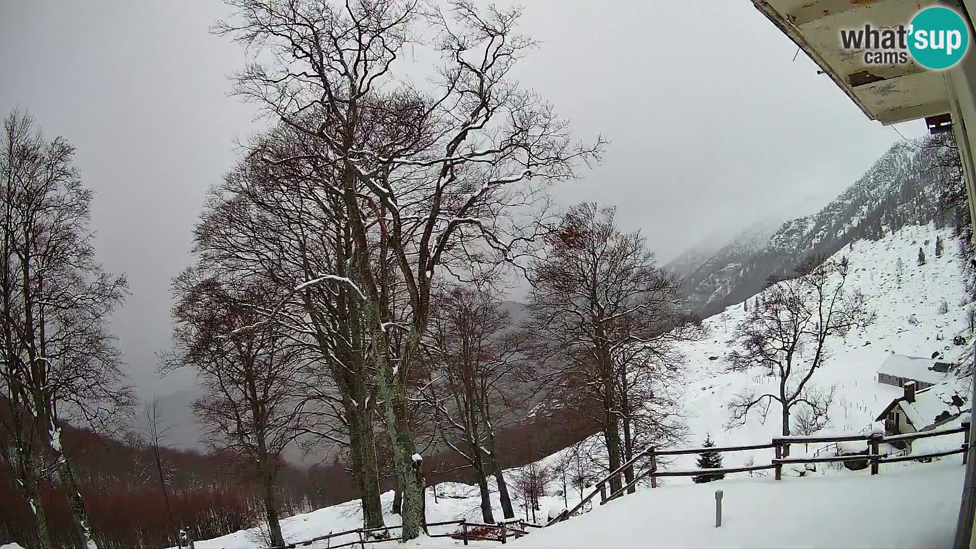 Koča na Planini Razor spletna kamera (1315) | Pogled na Tolminski Migovec