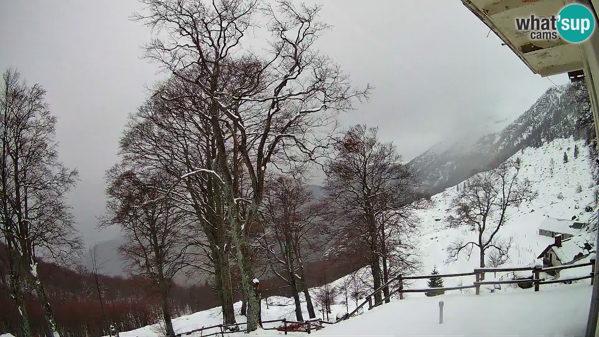 Planina Razor Mountain Hut live cam (1315) | view to Tolminski Migovec