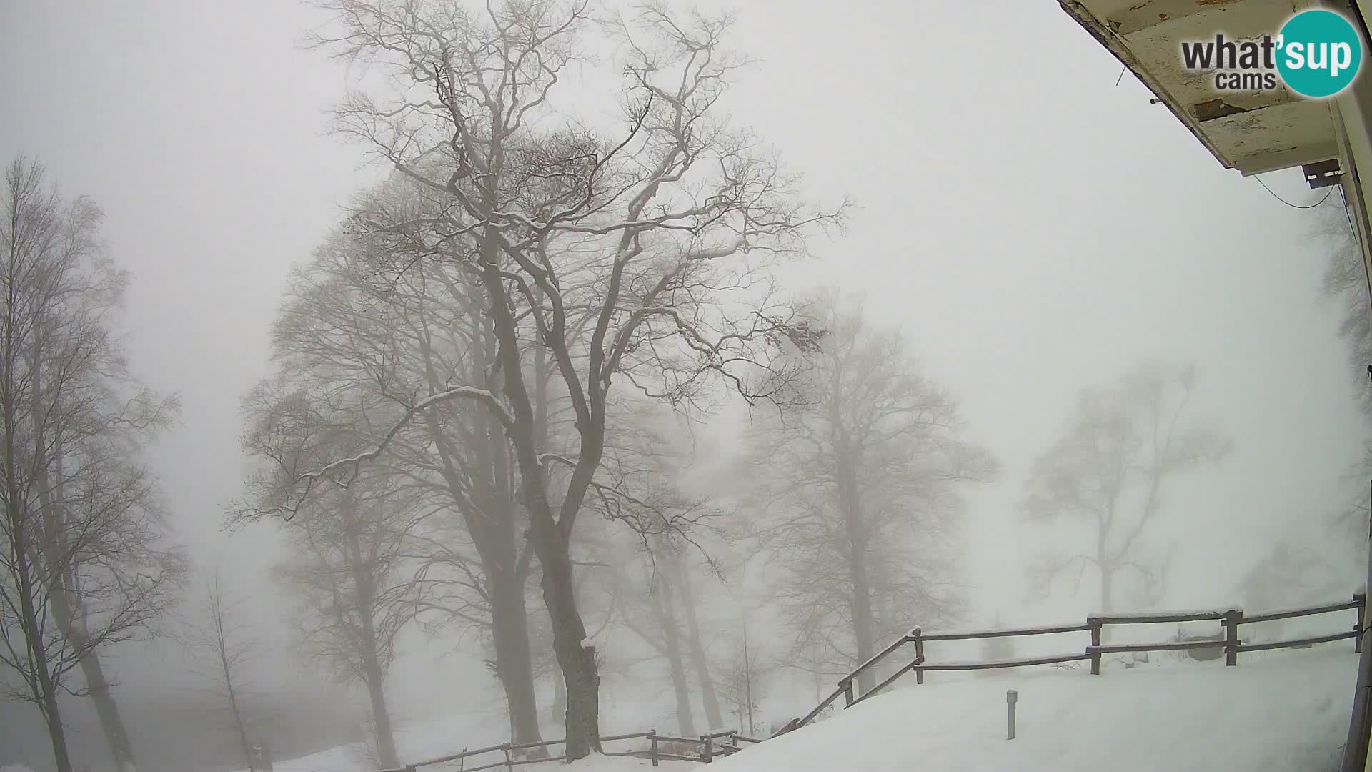 Cámara en vivo de la cabaña de montaña Planina Razor (1315) | vista hacia Tolminski Migovec
