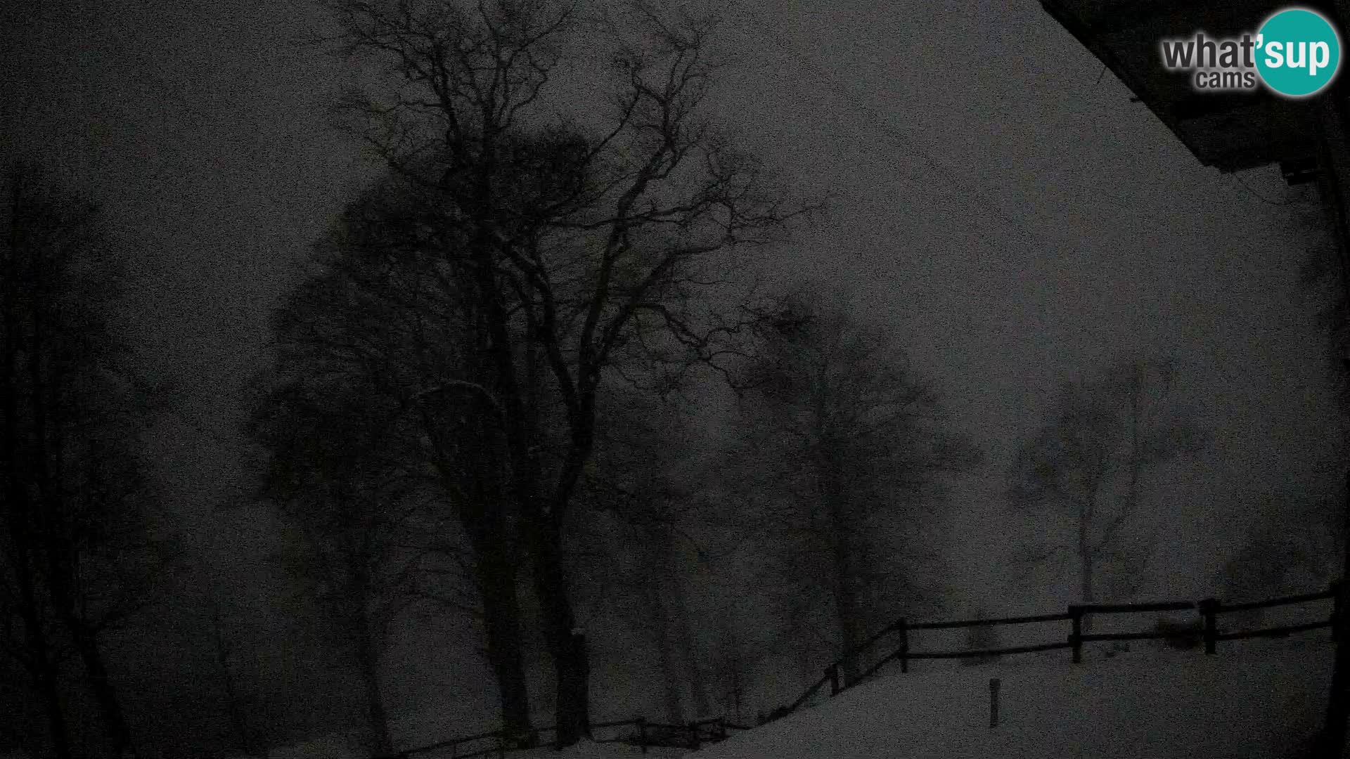 Planina Razor Bergütte Webcam (1315) | Blick auf Tolminski Migovec