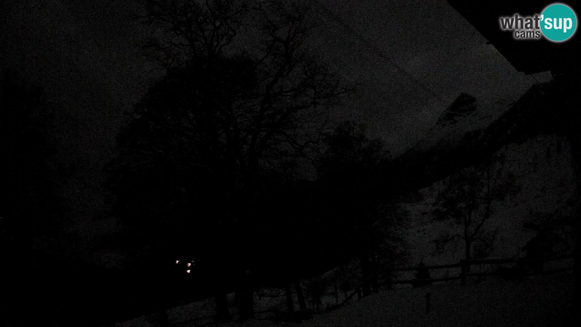 Planina Razor Bergütte Webcam (1315) | Blick auf Tolminski Migovec