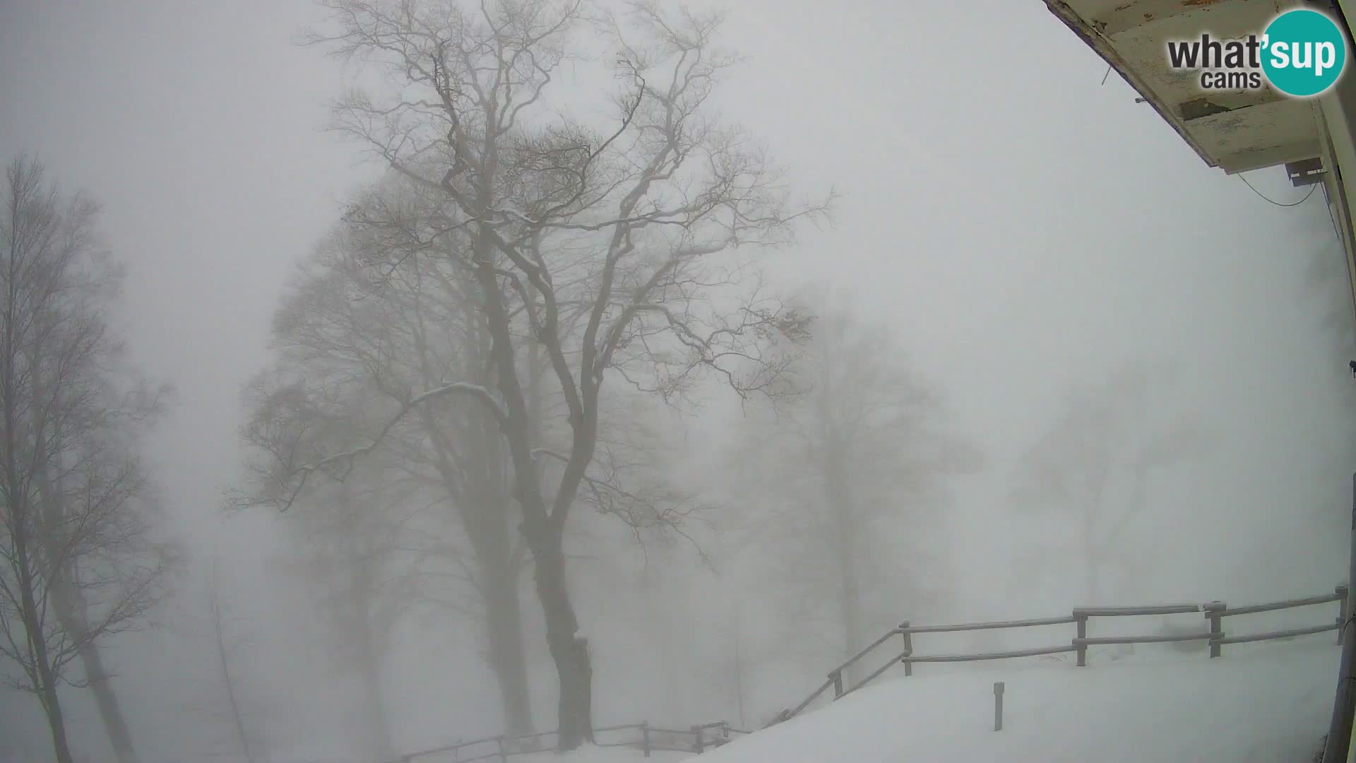 Planina Razor Mountain Hut live cam (1315) | view to Tolminski Migovec