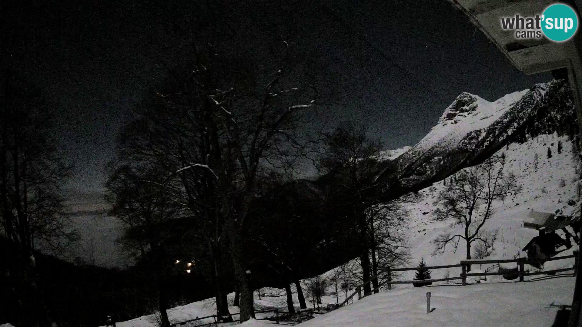 Planina Razor Bergütte Webcam (1315) | Blick auf Tolminski Migovec