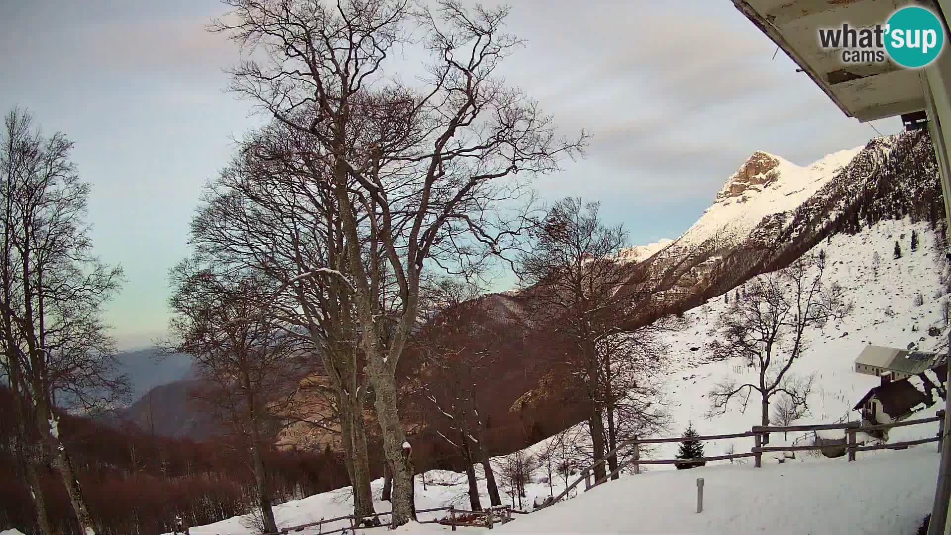 Baita di montagna Planina Razor webcam (1315) | vista su Tolminski Migovec