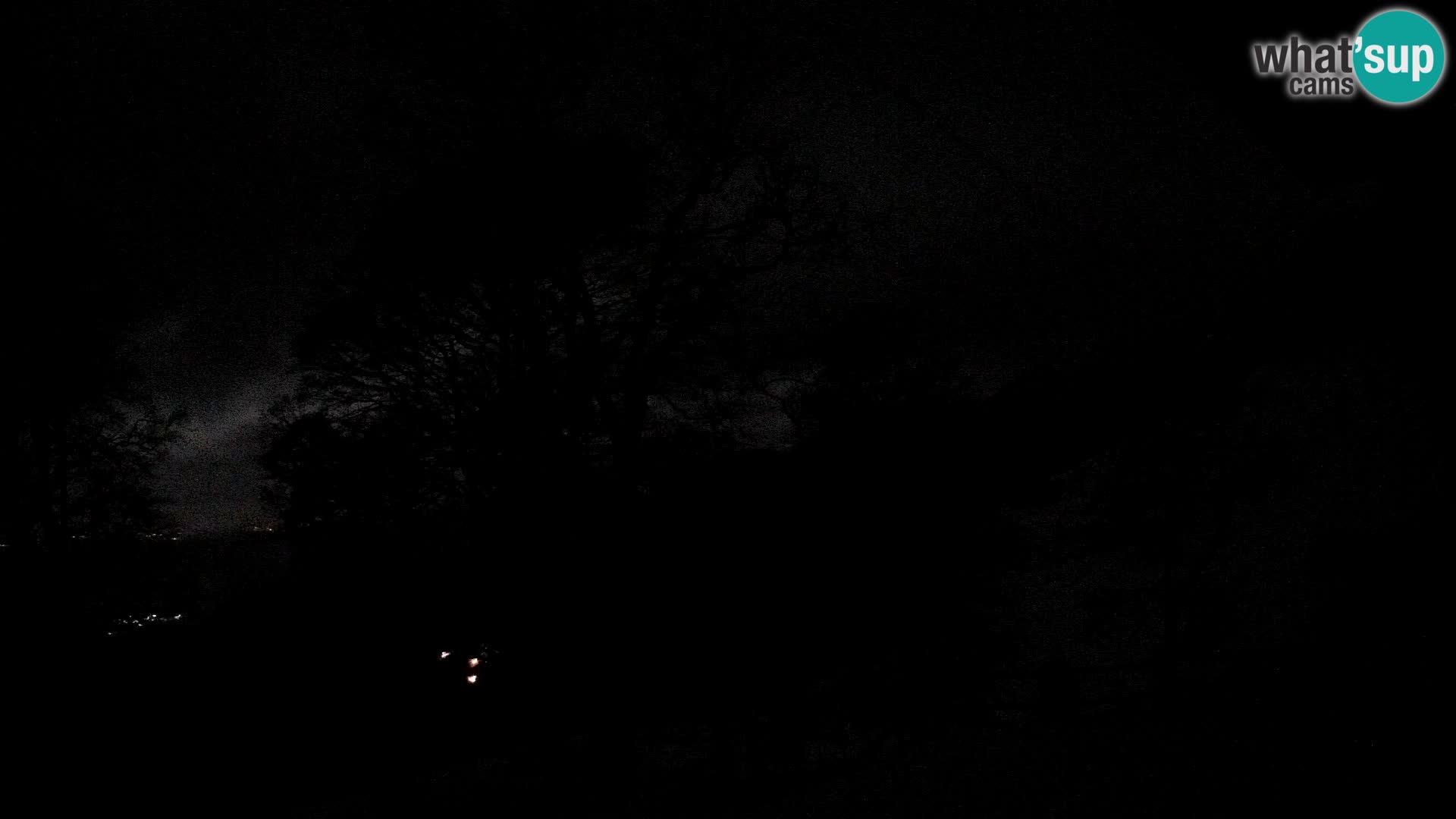 Planina Razor Bergütte Webcam (1315) | Blick auf Tolminski Migovec