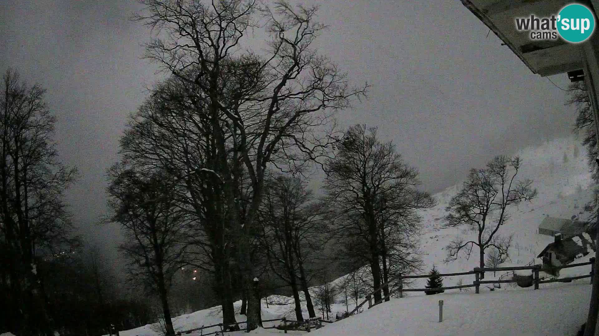 Planina Razor Bergütte Webcam (1315) | Blick auf Tolminski Migovec
