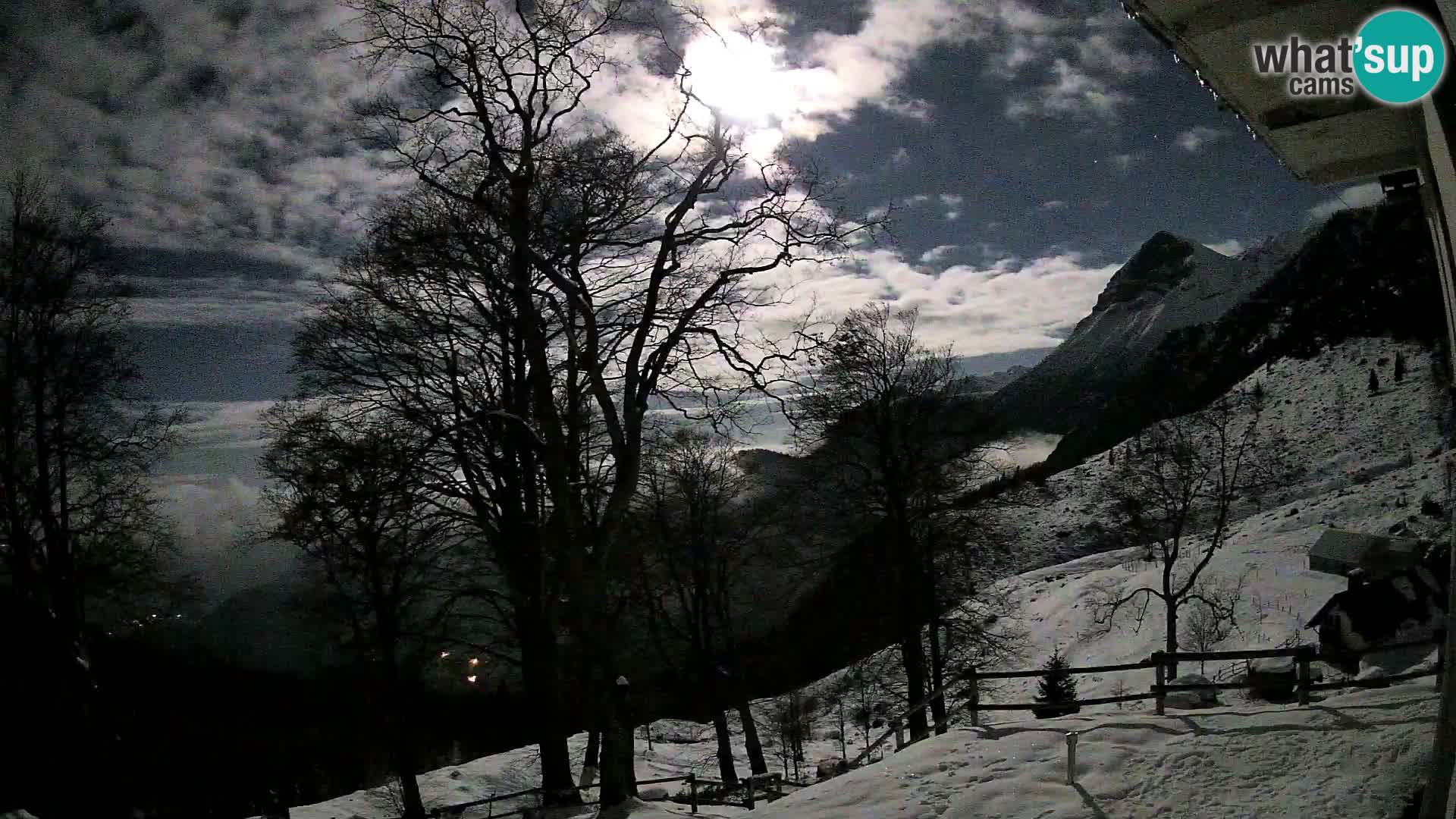 Planina Razor Bergütte Webcam (1315) | Blick auf Tolminski Migovec