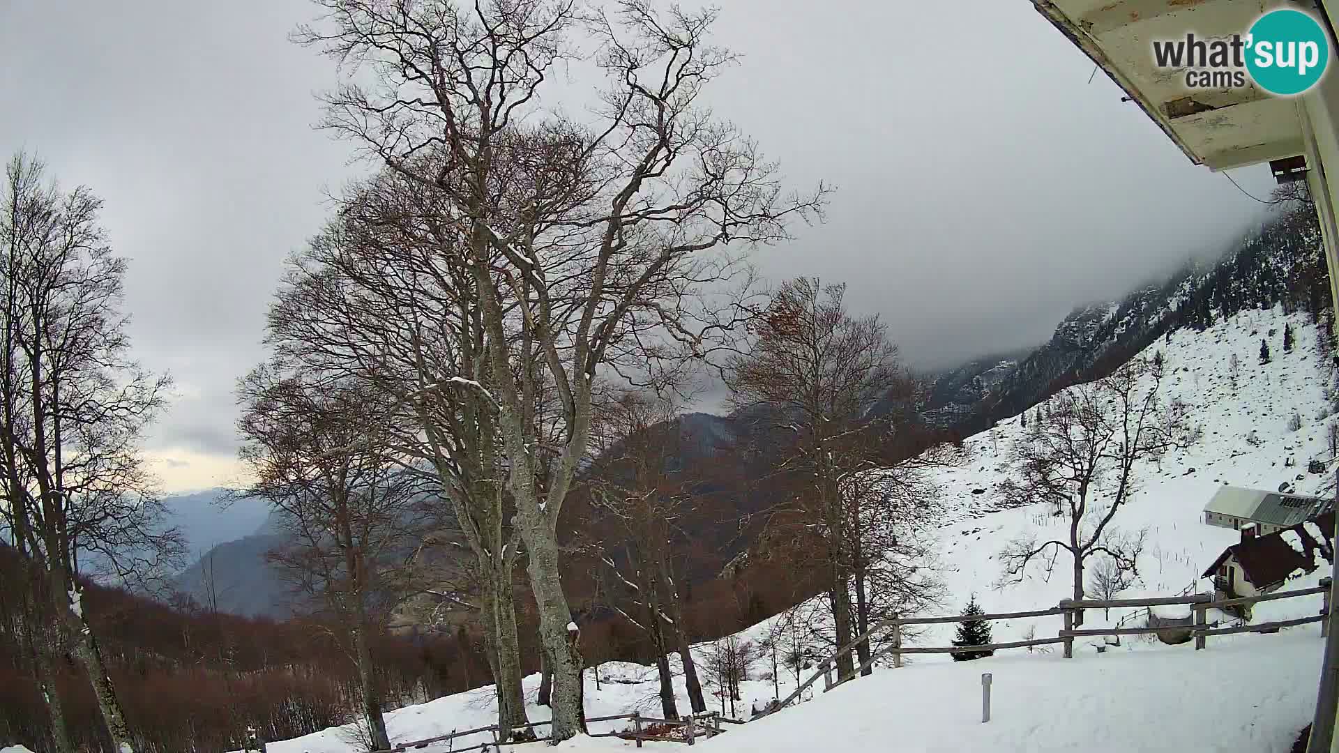 Baita di montagna Planina Razor webcam (1315) | vista su Tolminski Migovec