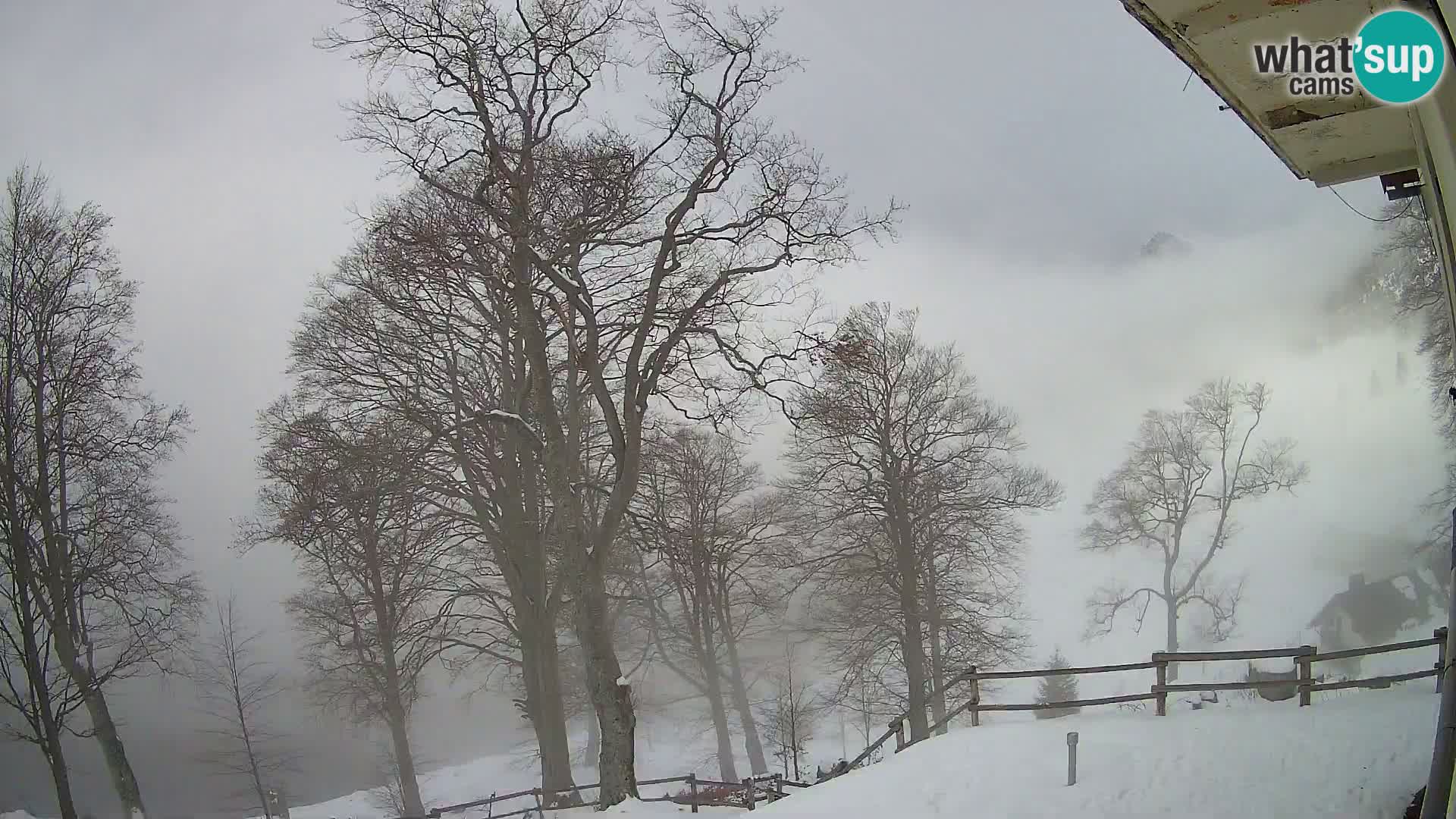 Koča na Planini Razor spletna kamera (1315) | Pogled na Tolminski Migovec