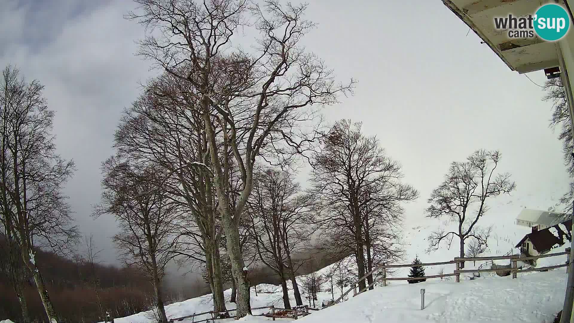 Planinarski dom na planini Razor (1315) | Pogled na Tolminski Migovec