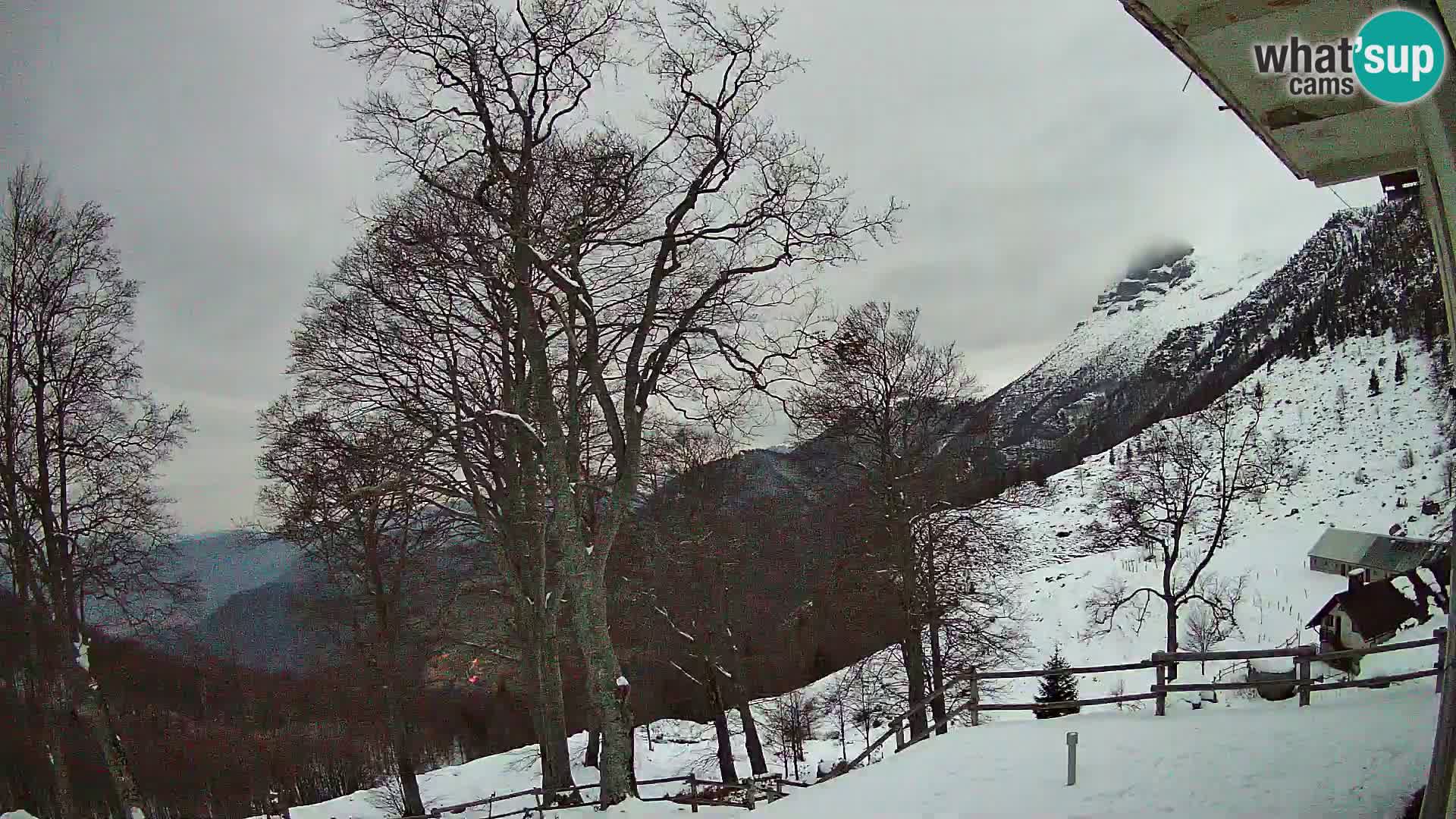 Planinarski dom na planini Razor (1315) | Pogled na Tolminski Migovec