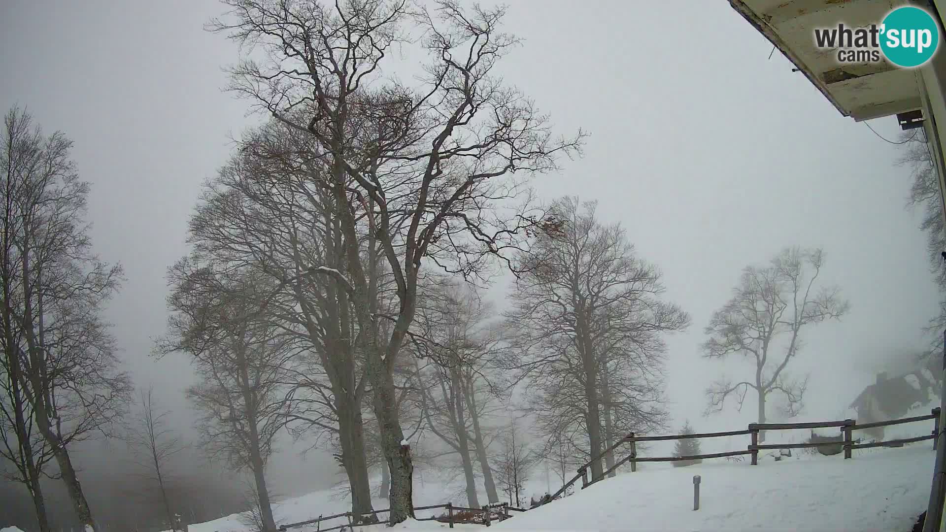 Refuge de la montagne Planina Razor caméra en direct (1315) | vue sur Tolminski Migovec
