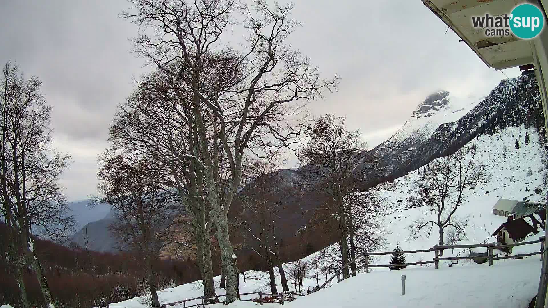 Planina Razor Bergütte Webcam (1315) | Blick auf Tolminski Migovec