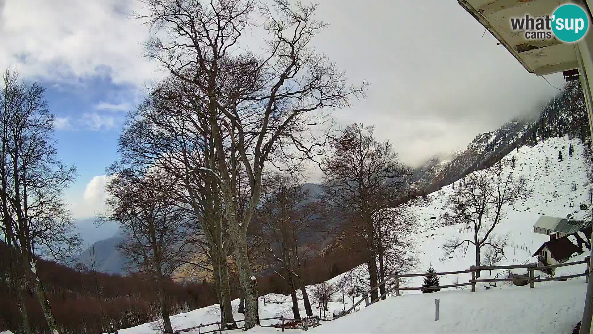 Planina Razor Bergütte Webcam (1315) | Blick auf Tolminski Migovec