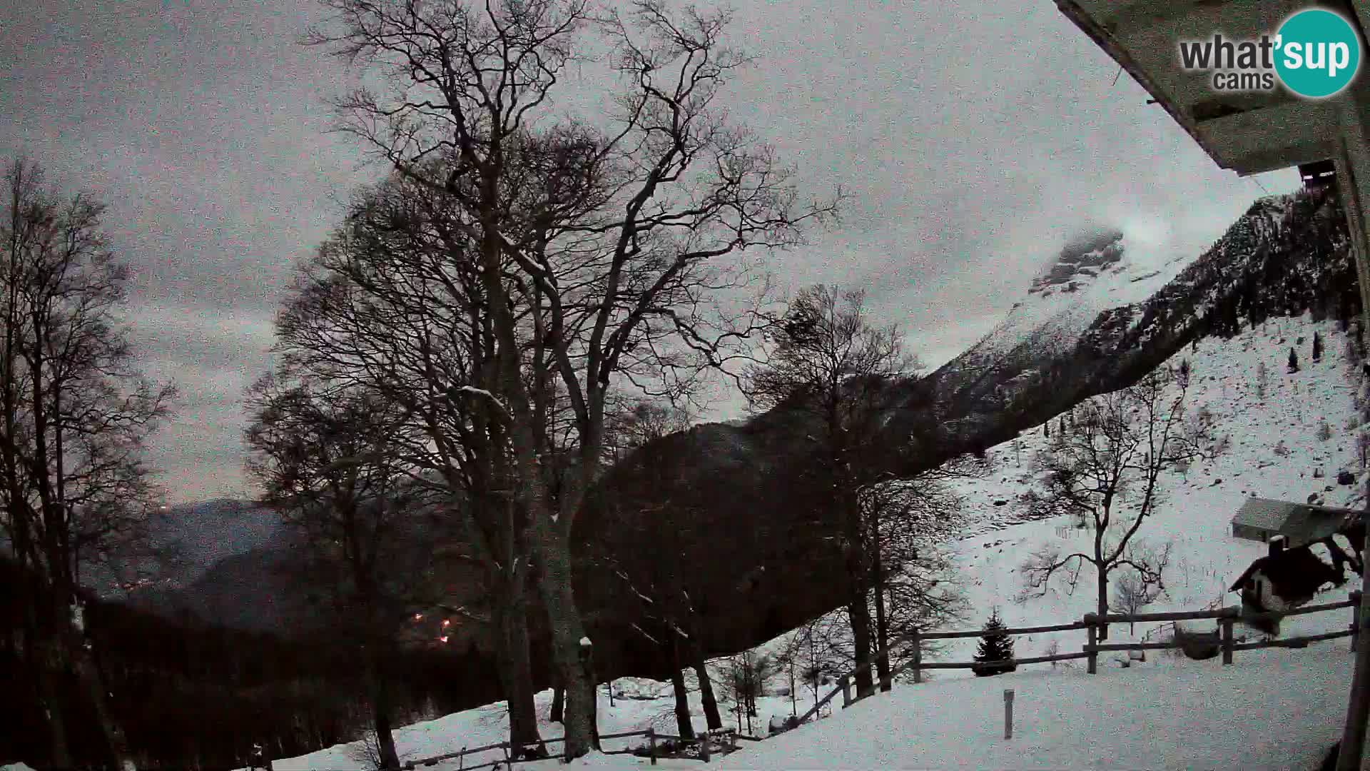 Planina Razor Mountain Hut live cam (1315) | view to Tolminski Migovec