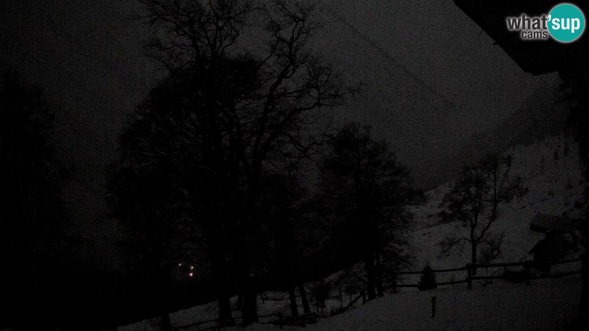 Planina Razor Bergütte Webcam (1315) | Blick auf Tolminski Migovec