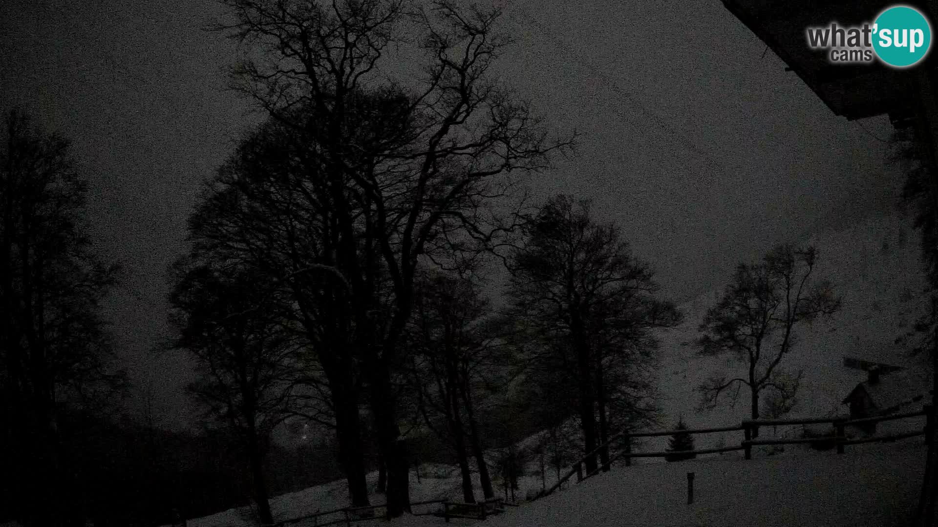 Planina Razor Bergütte Webcam (1315) | Blick auf Tolminski Migovec