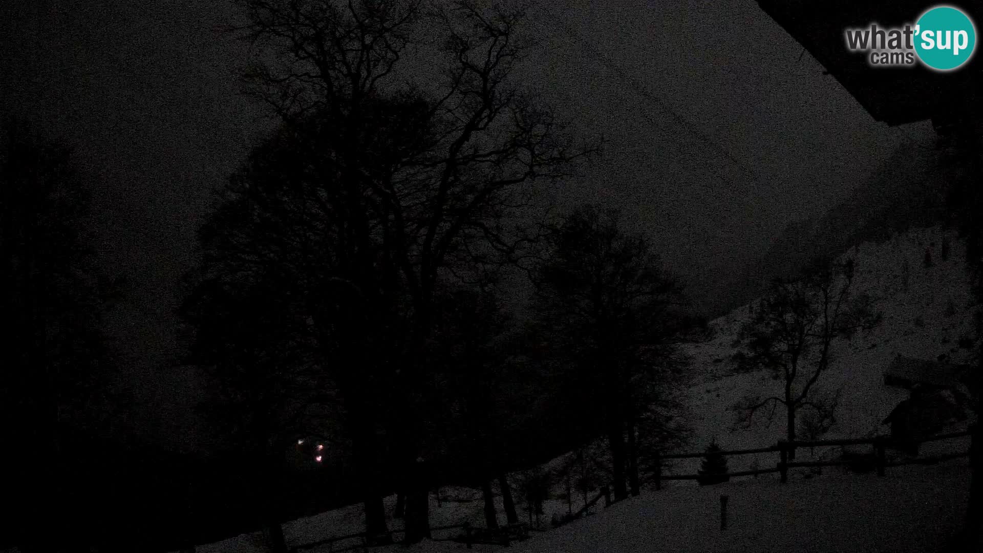 Planina Razor Bergütte Webcam (1315) | Blick auf Tolminski Migovec