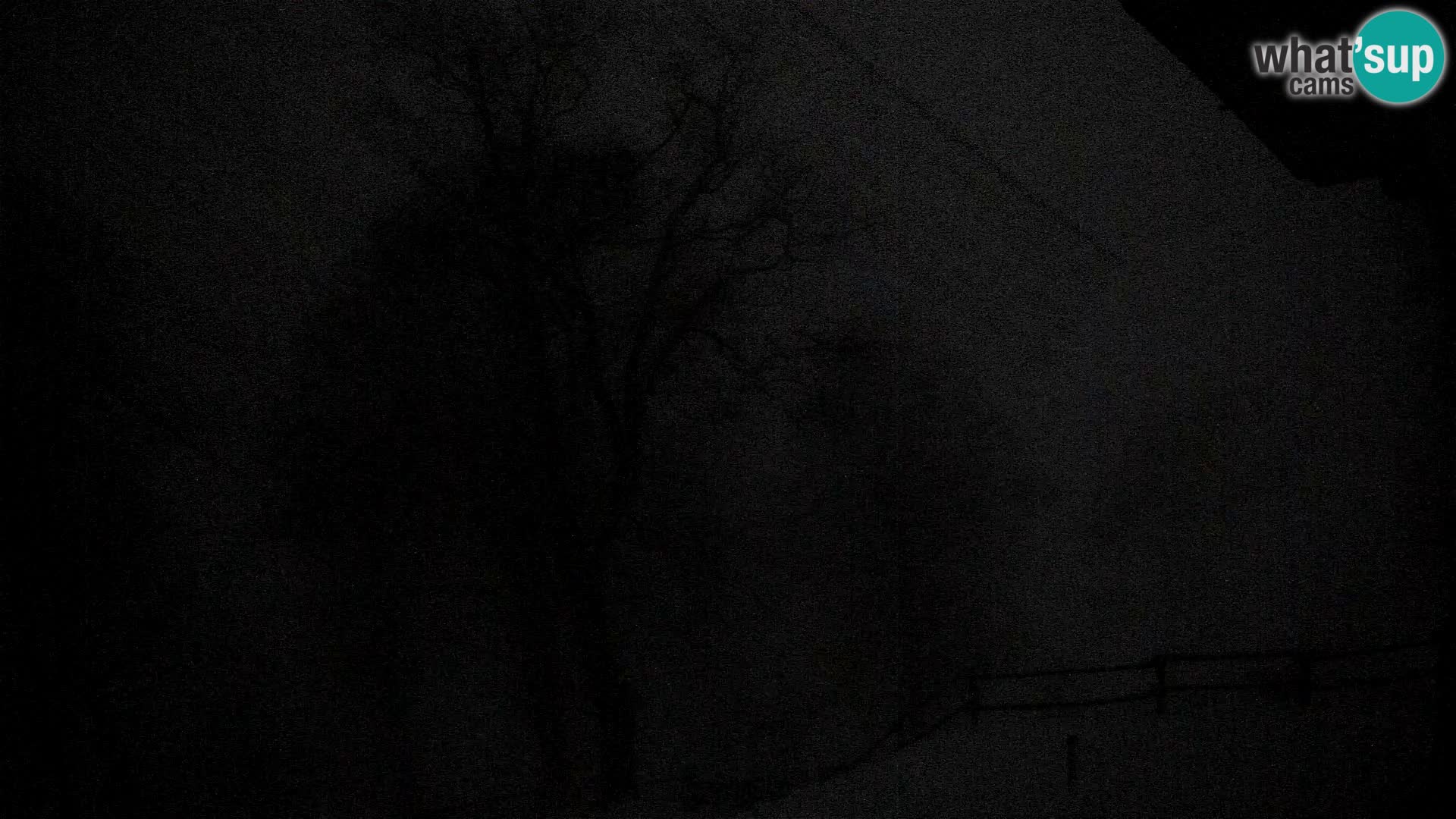 Baita di montagna Planina Razor webcam (1315) | vista su Tolminski Migovec