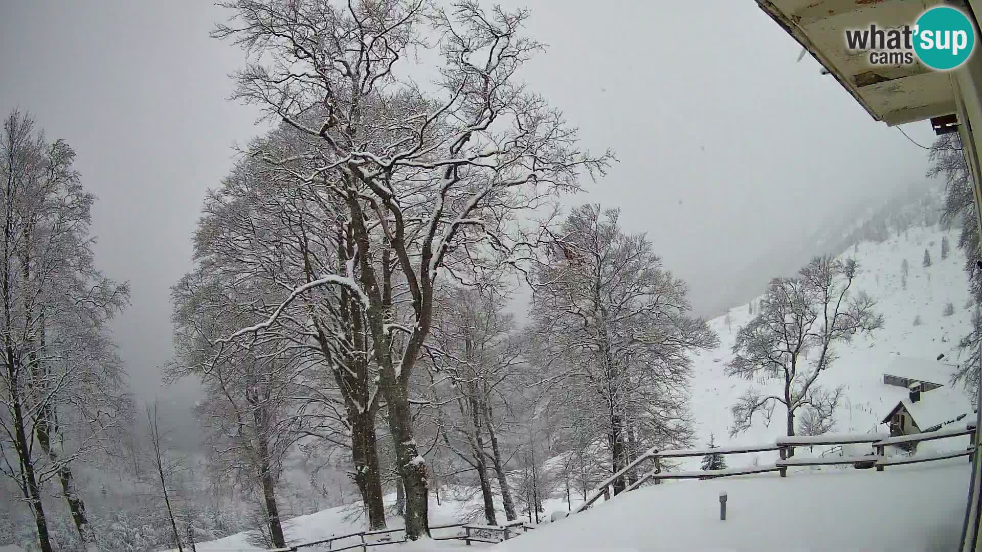 Cámara en vivo de la cabaña de montaña Planina Razor (1315) | vista hacia Tolminski Migovec