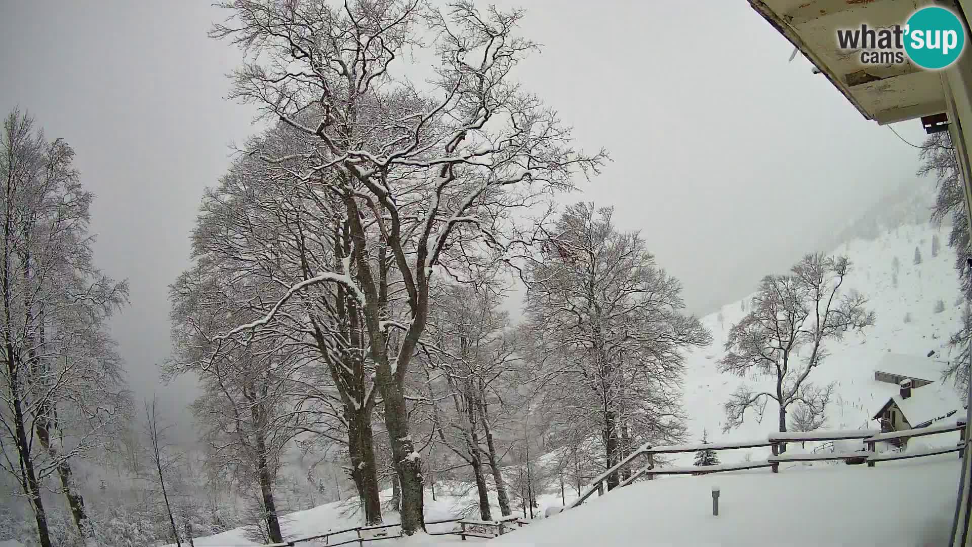 Planina Razor Bergütte Webcam (1315) | Blick auf Tolminski Migovec