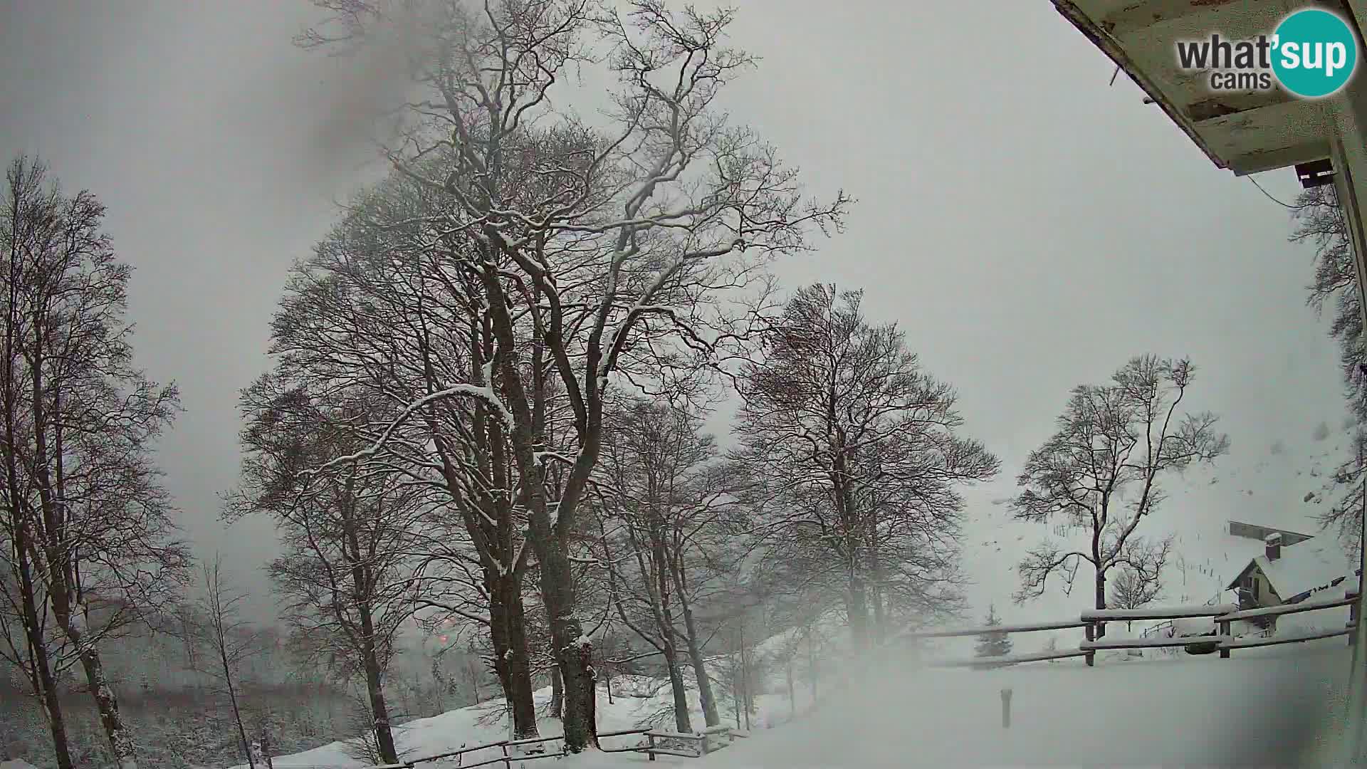 Baita di montagna Planina Razor webcam (1315) | vista su Tolminski Migovec