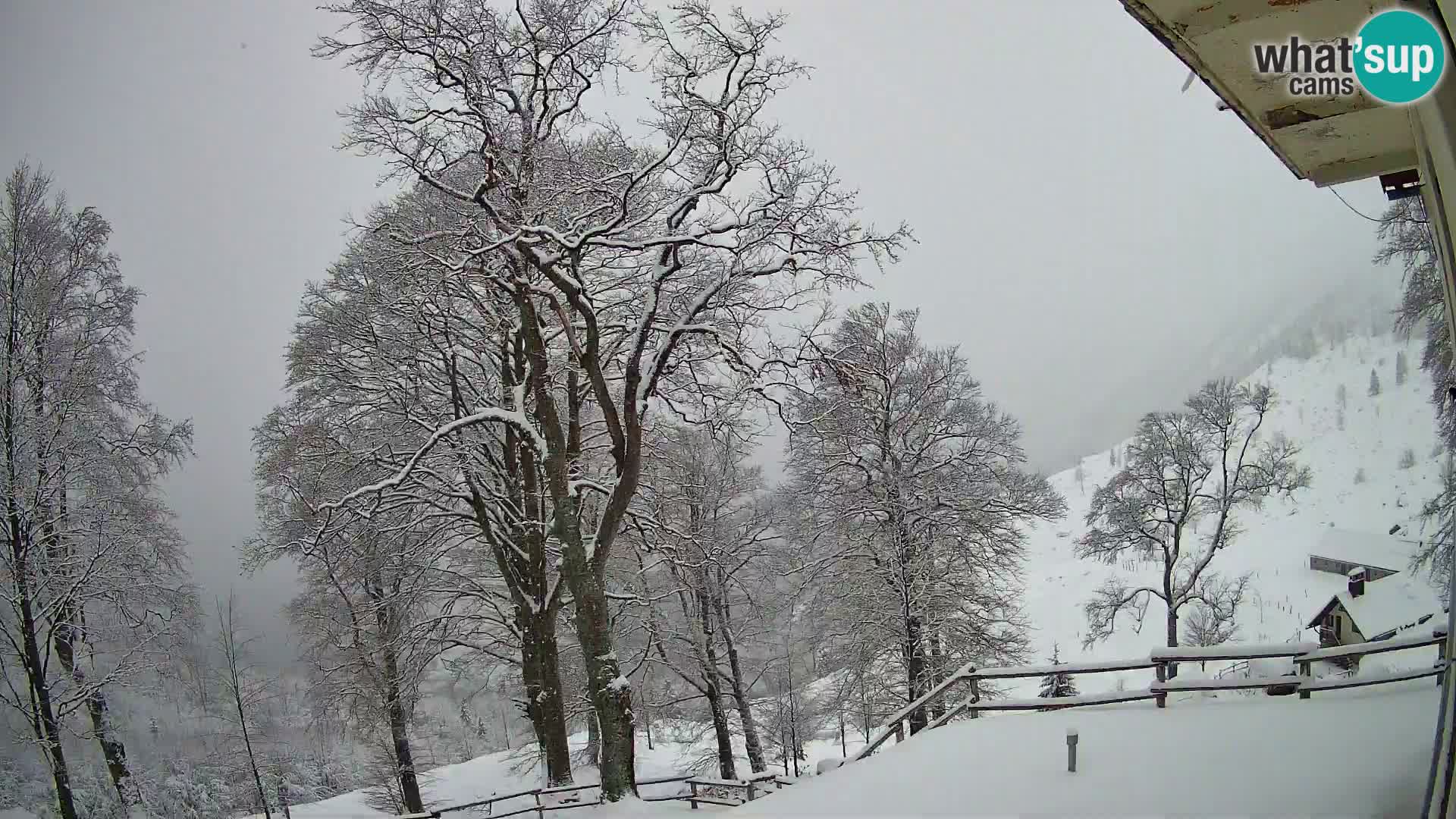 Planinarski dom na planini Razor (1315) | Pogled na Tolminski Migovec