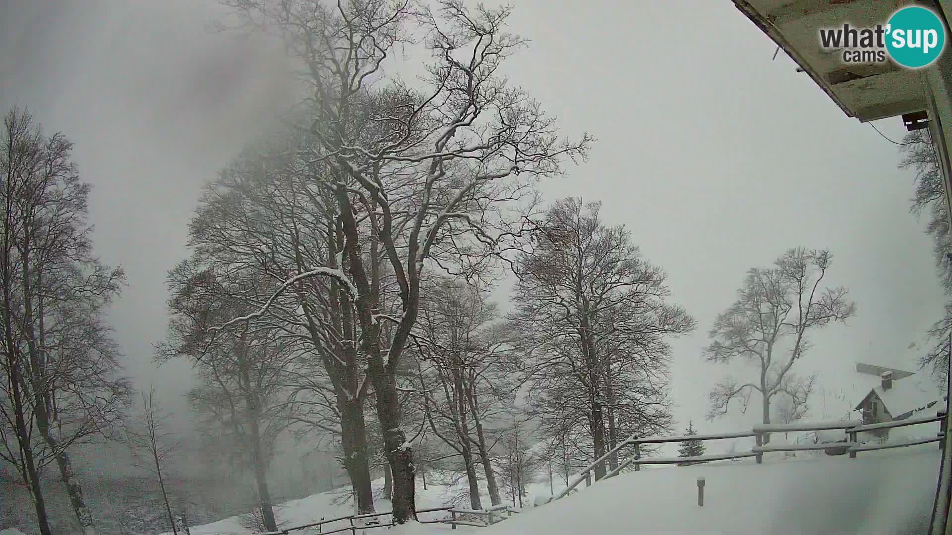 Baita di montagna Planina Razor webcam (1315) | vista su Tolminski Migovec