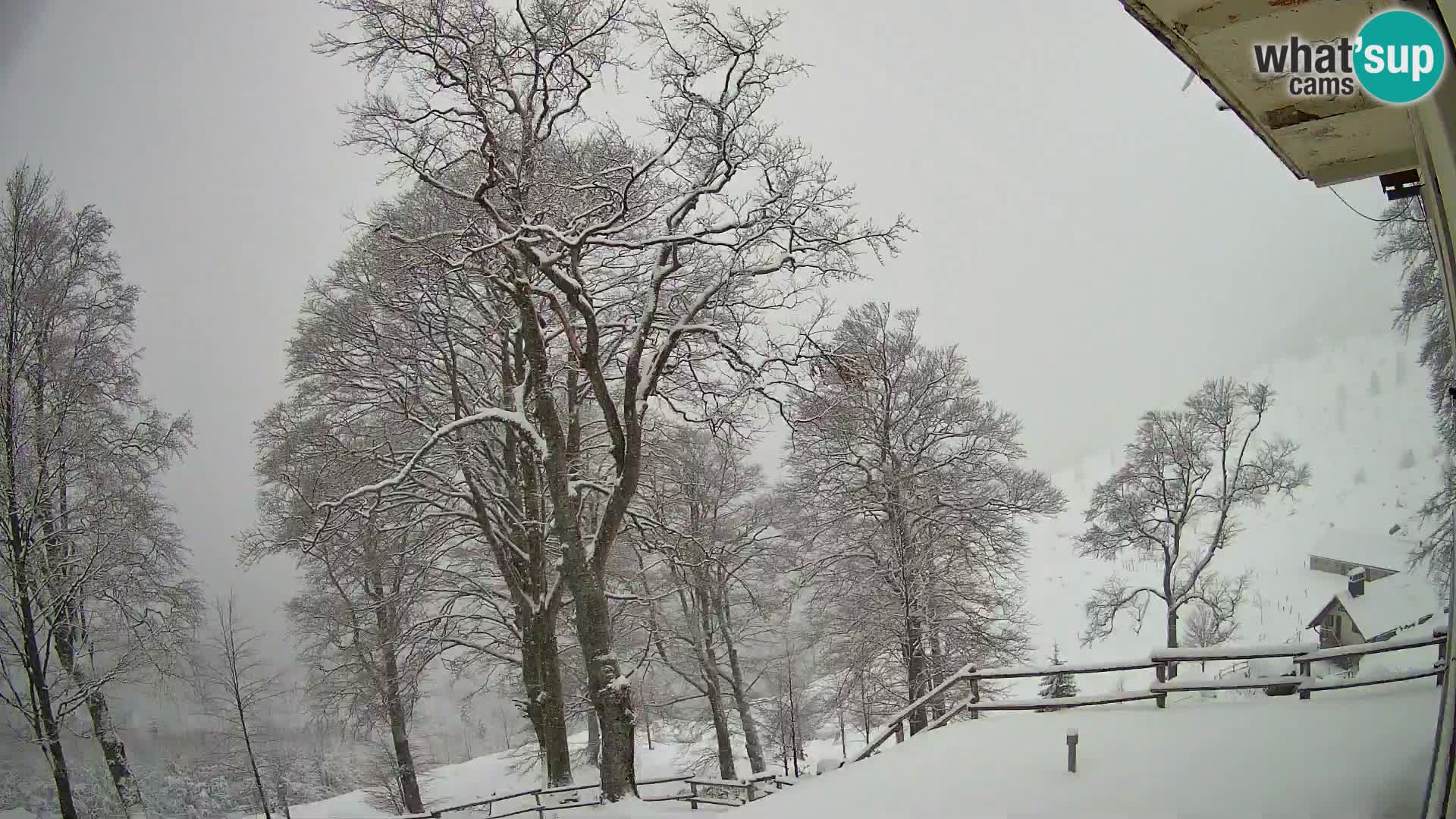 Planina Razor Bergütte Webcam (1315) | Blick auf Tolminski Migovec