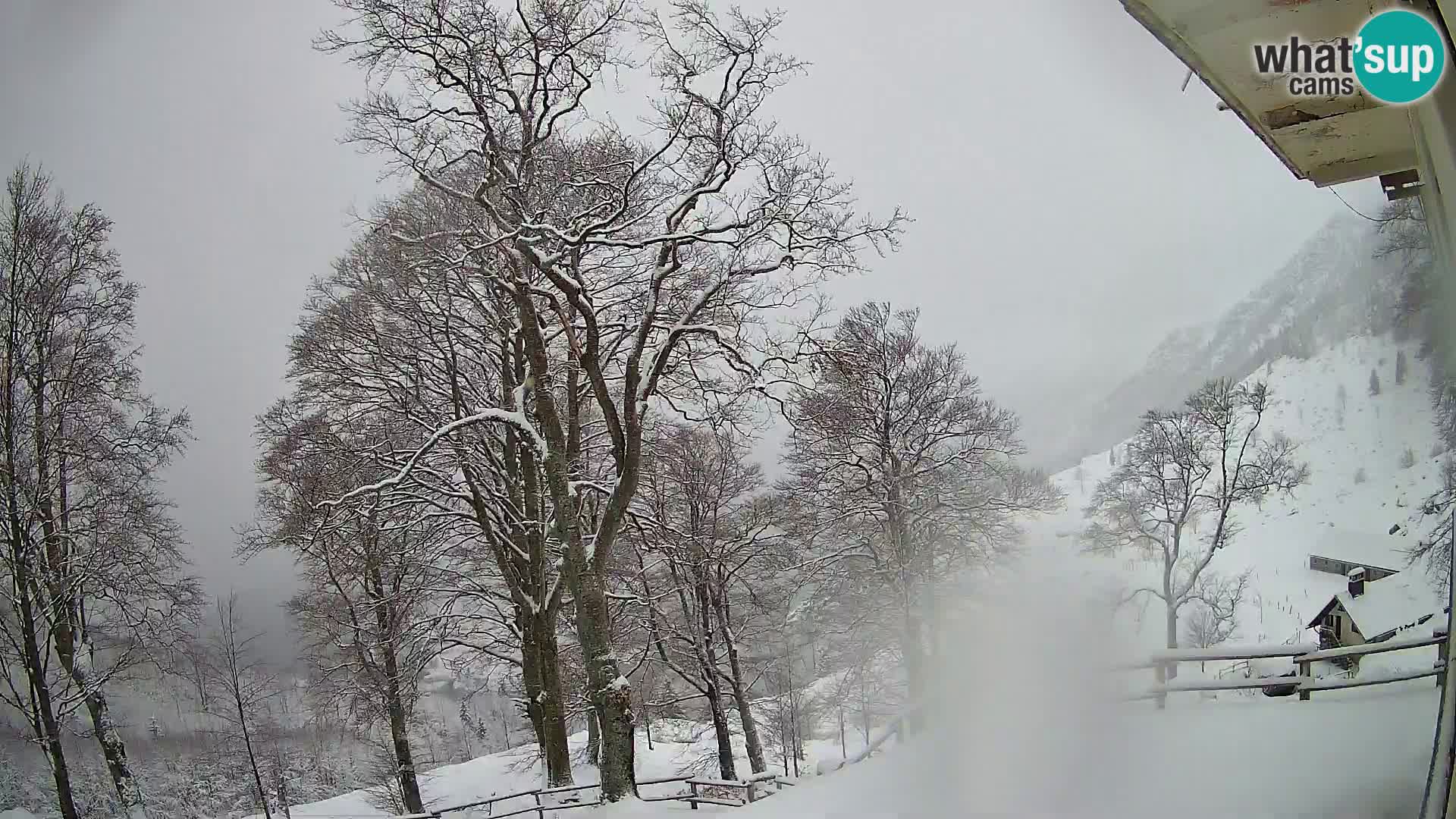 Planina Razor Mountain Hut live cam (1315) | view to Tolminski Migovec