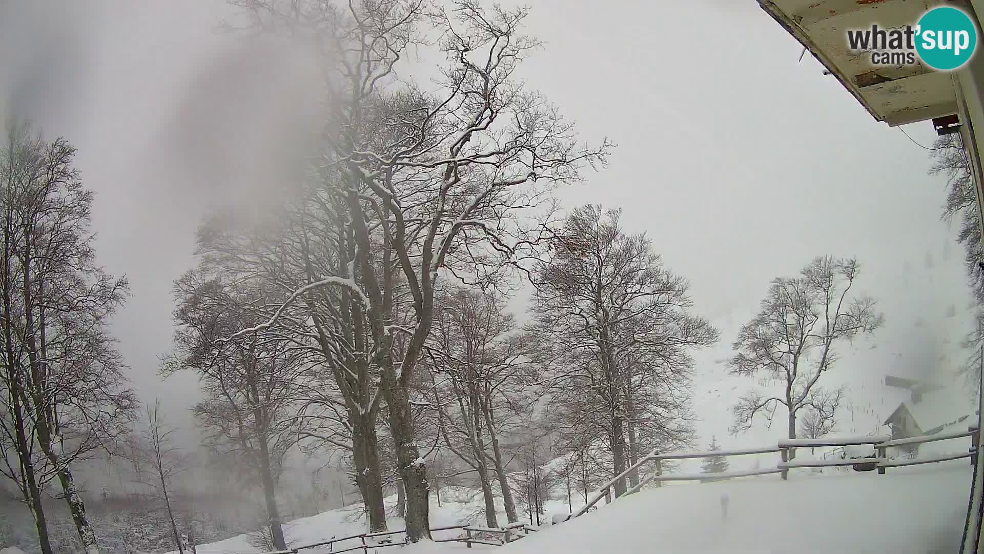 Planina Razor Bergütte Webcam (1315) | Blick auf Tolminski Migovec