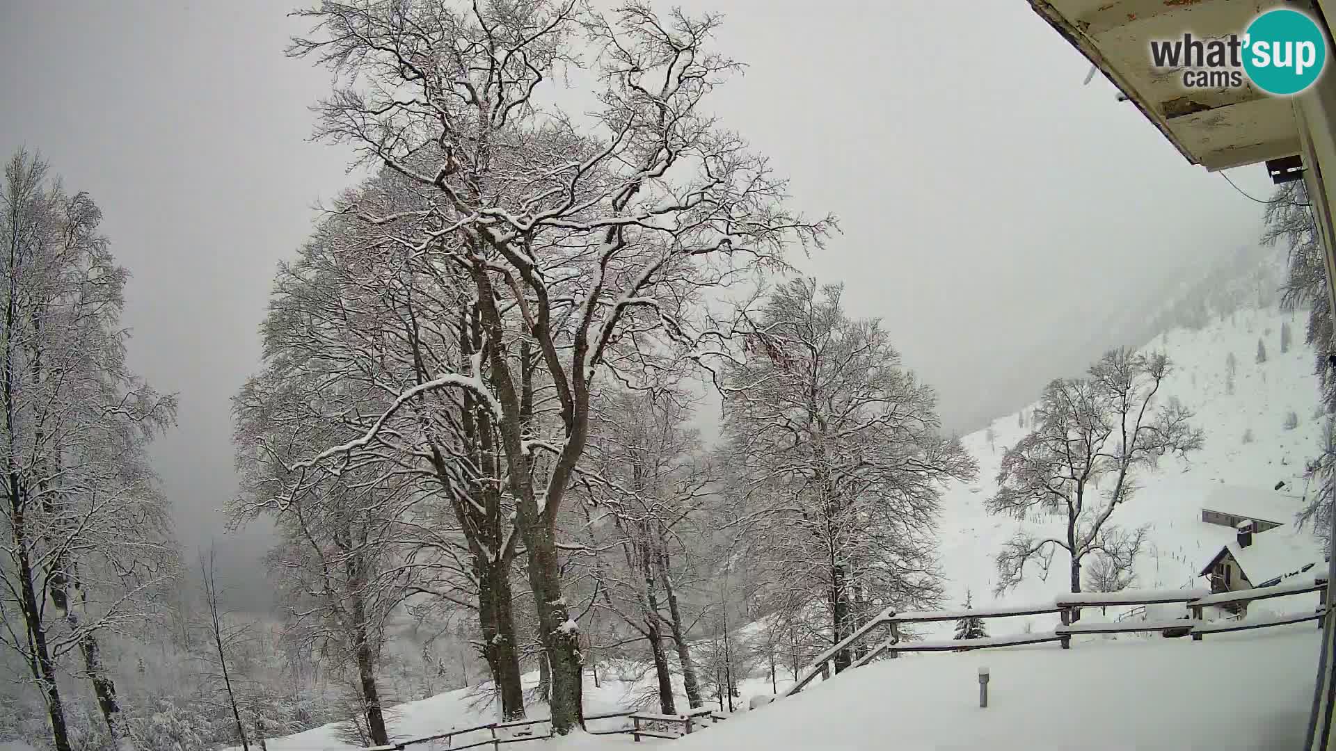 Koča na Planini Razor spletna kamera (1315) | Pogled na Tolminski Migovec