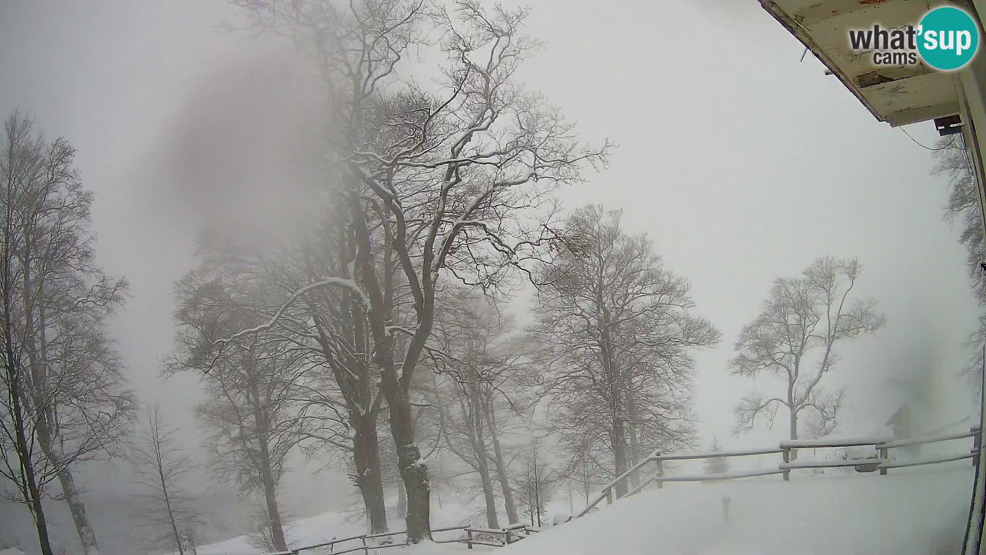 Refuge de la montagne Planina Razor caméra en direct (1315) | vue sur Tolminski Migovec