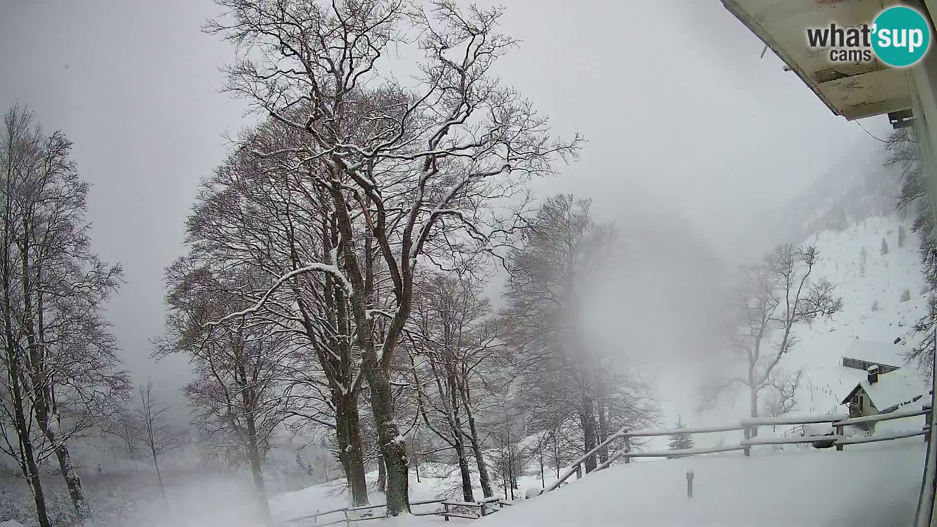 Cámara en vivo de la cabaña de montaña Planina Razor (1315) | vista hacia Tolminski Migovec