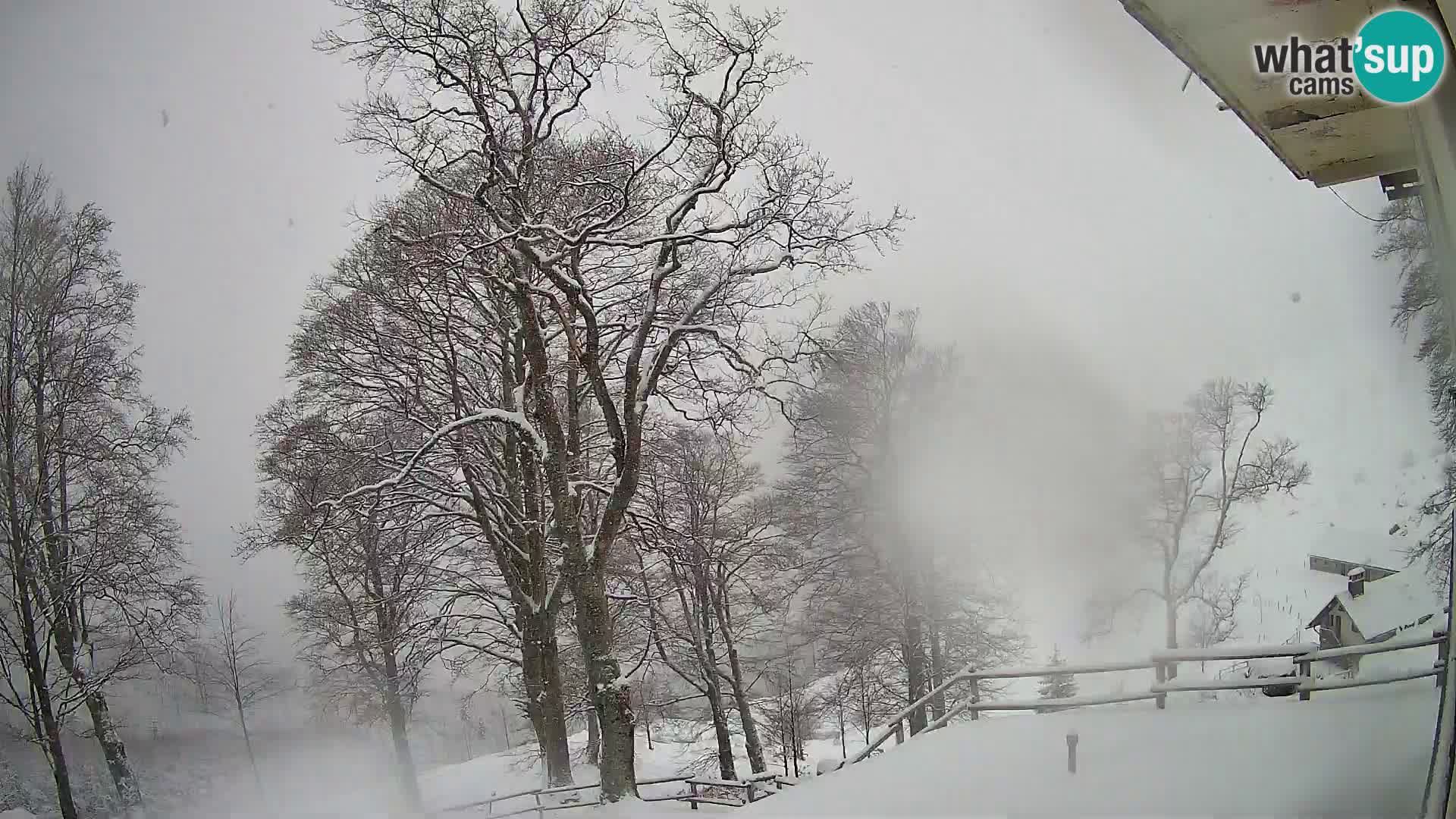Refuge de la montagne Planina Razor caméra en direct (1315) | vue sur Tolminski Migovec