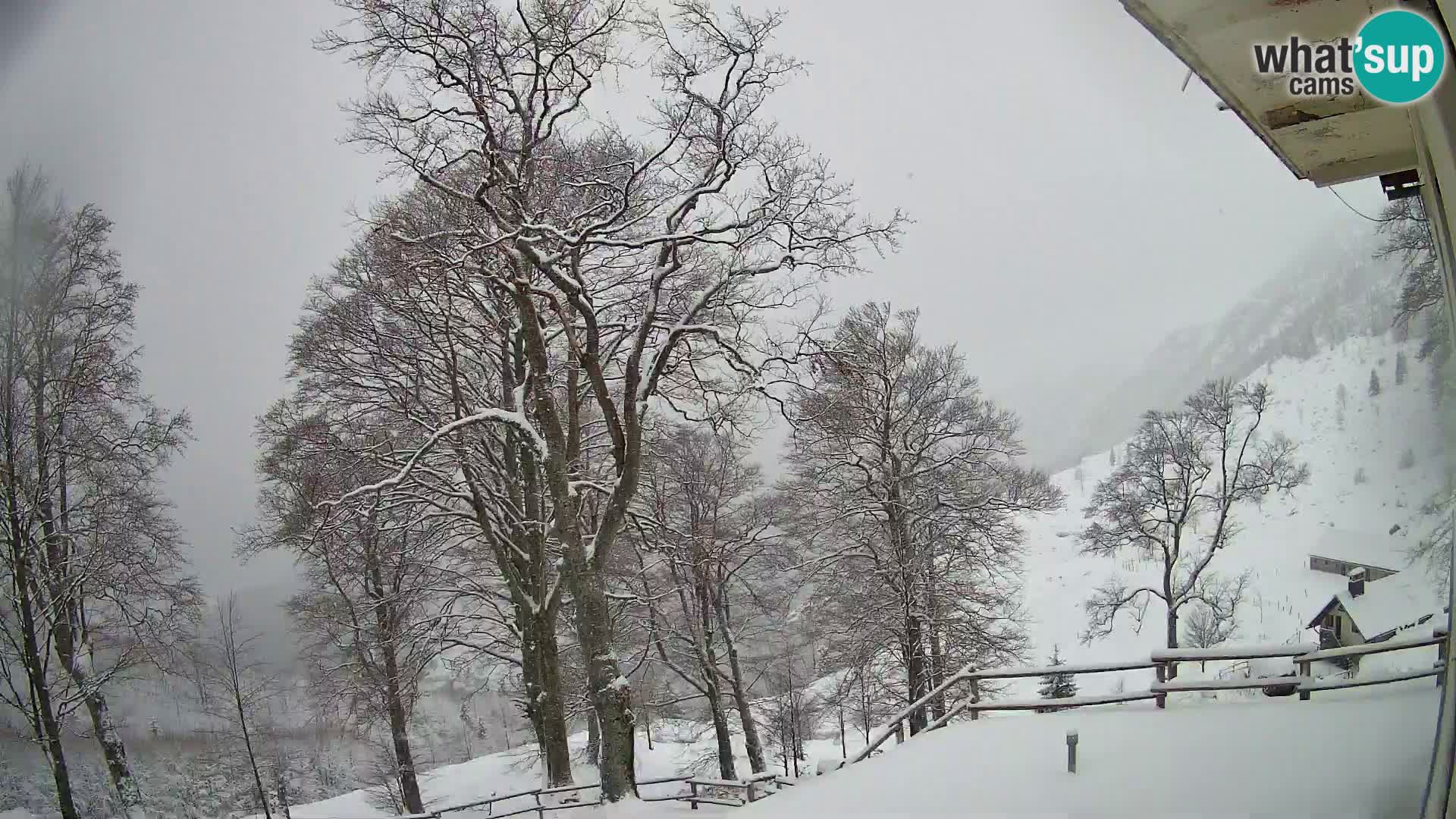 Baita di montagna Planina Razor webcam (1315) | vista su Tolminski Migovec