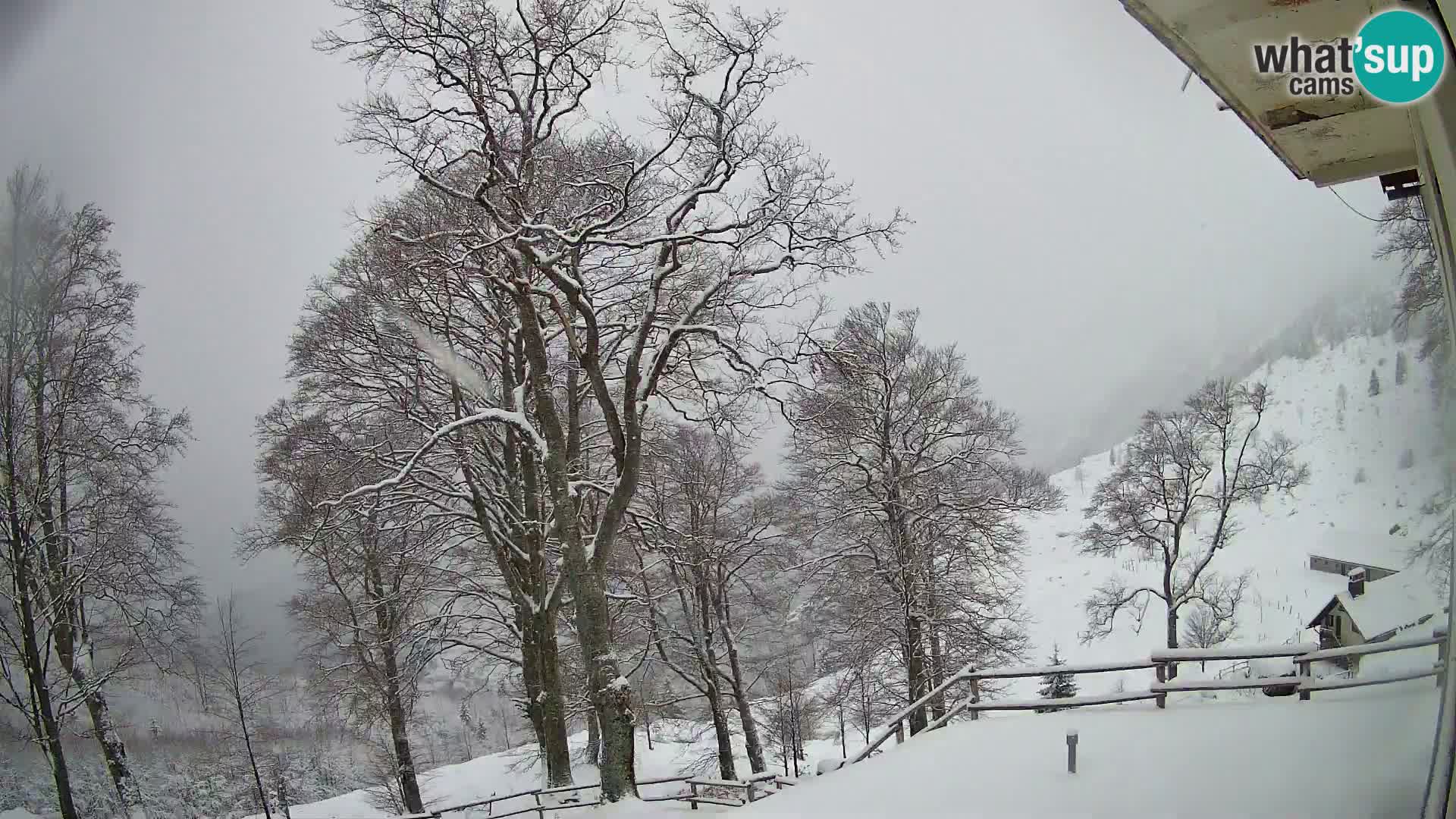 Baita di montagna Planina Razor webcam (1315) | vista su Tolminski Migovec