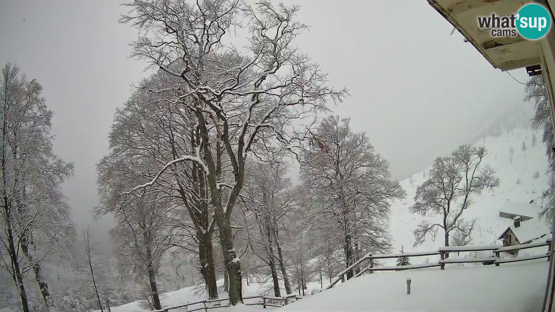 Planina Razor Mountain Hut live cam (1315) | view to Tolminski Migovec