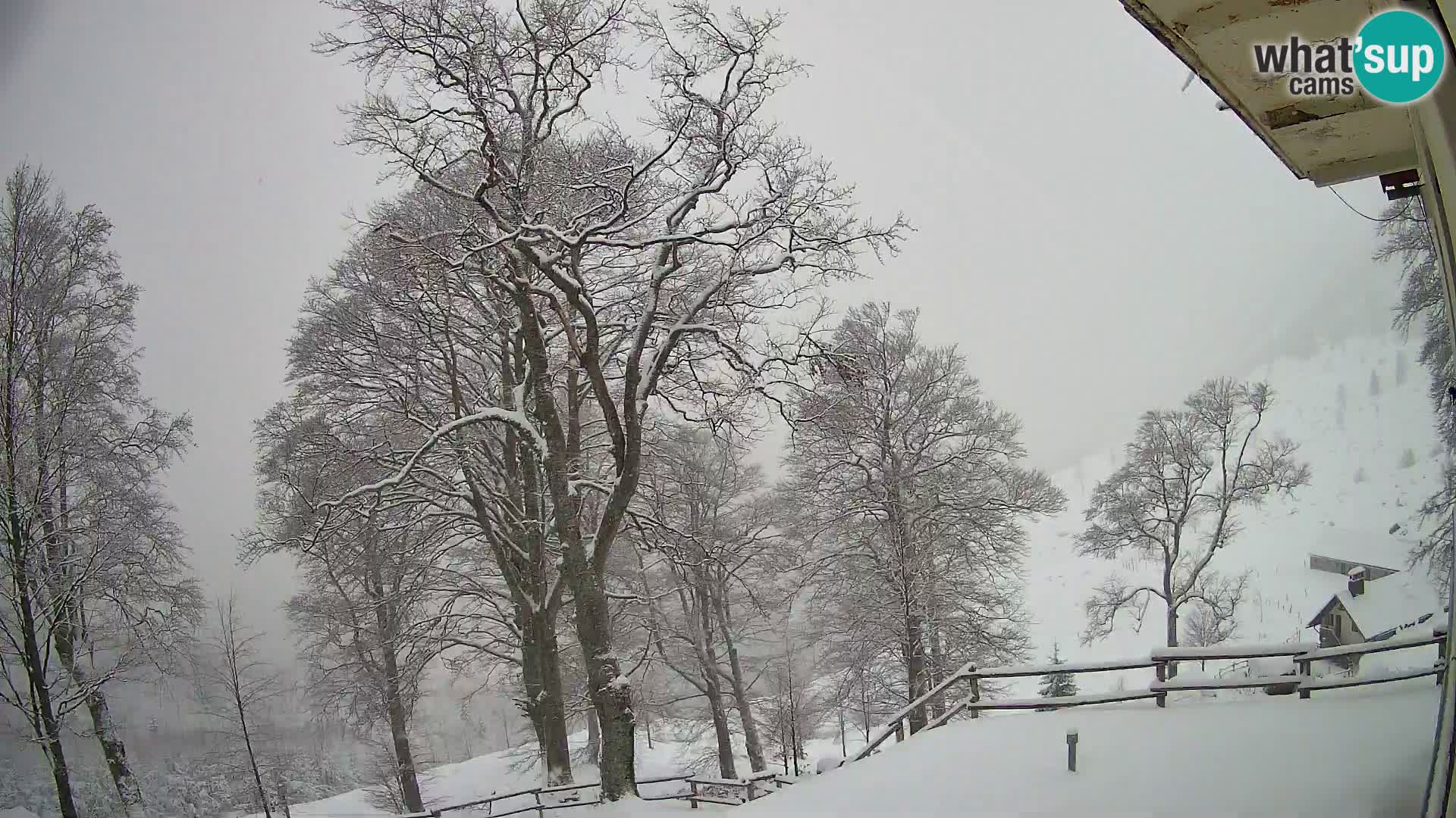 Baita di montagna Planina Razor webcam (1315) | vista su Tolminski Migovec