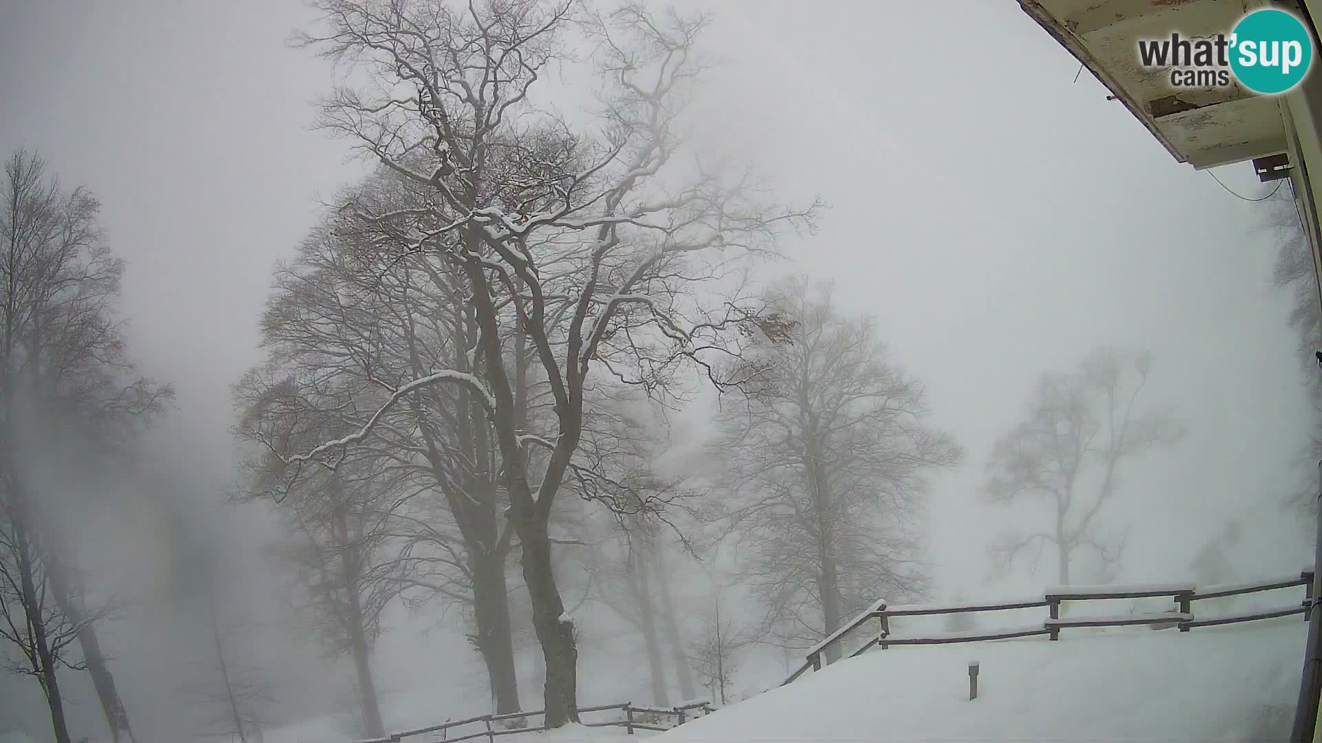 Refuge de la montagne Planina Razor caméra en direct (1315) | vue sur Tolminski Migovec