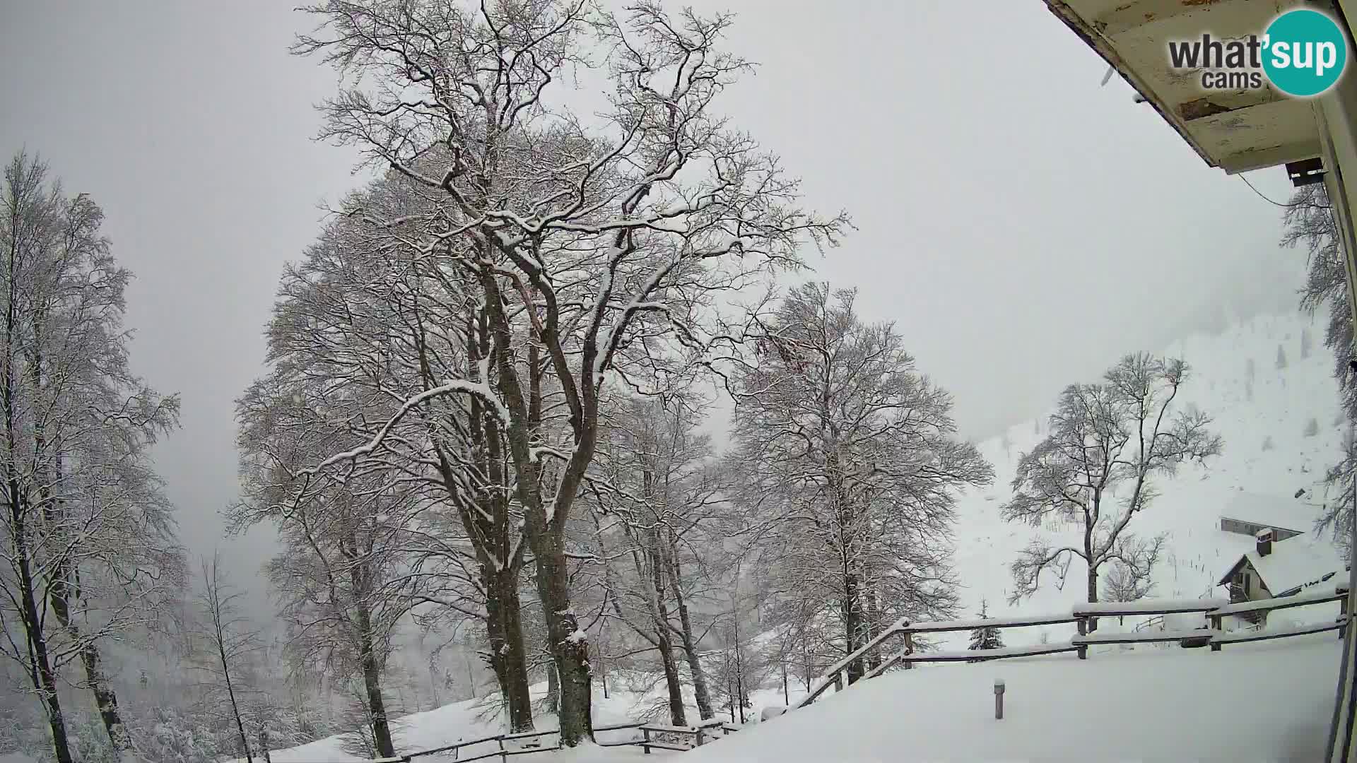 Planina Razor Bergütte Webcam (1315) | Blick auf Tolminski Migovec