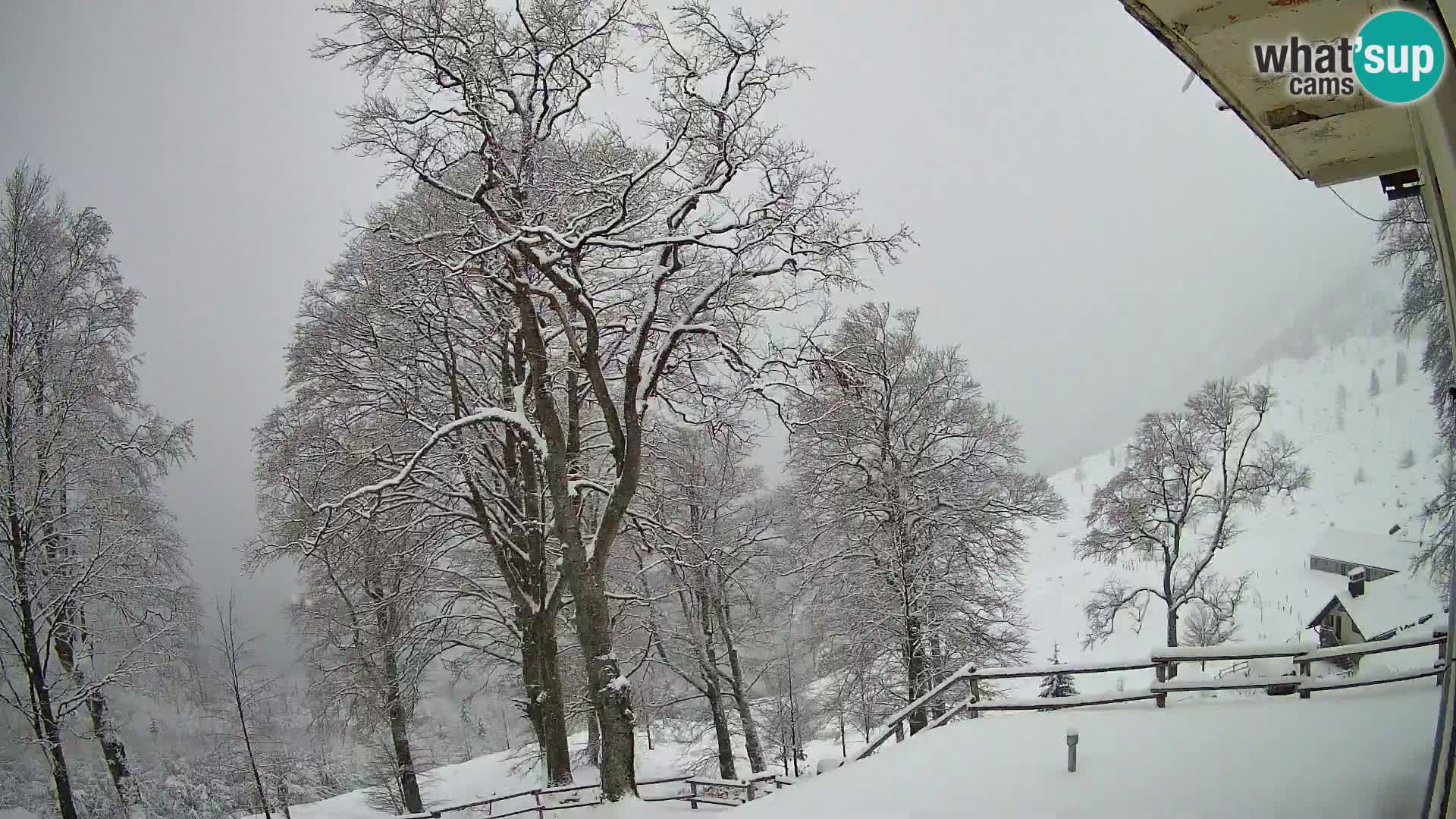 Planina Razor Mountain Hut live cam (1315) | view to Tolminski Migovec