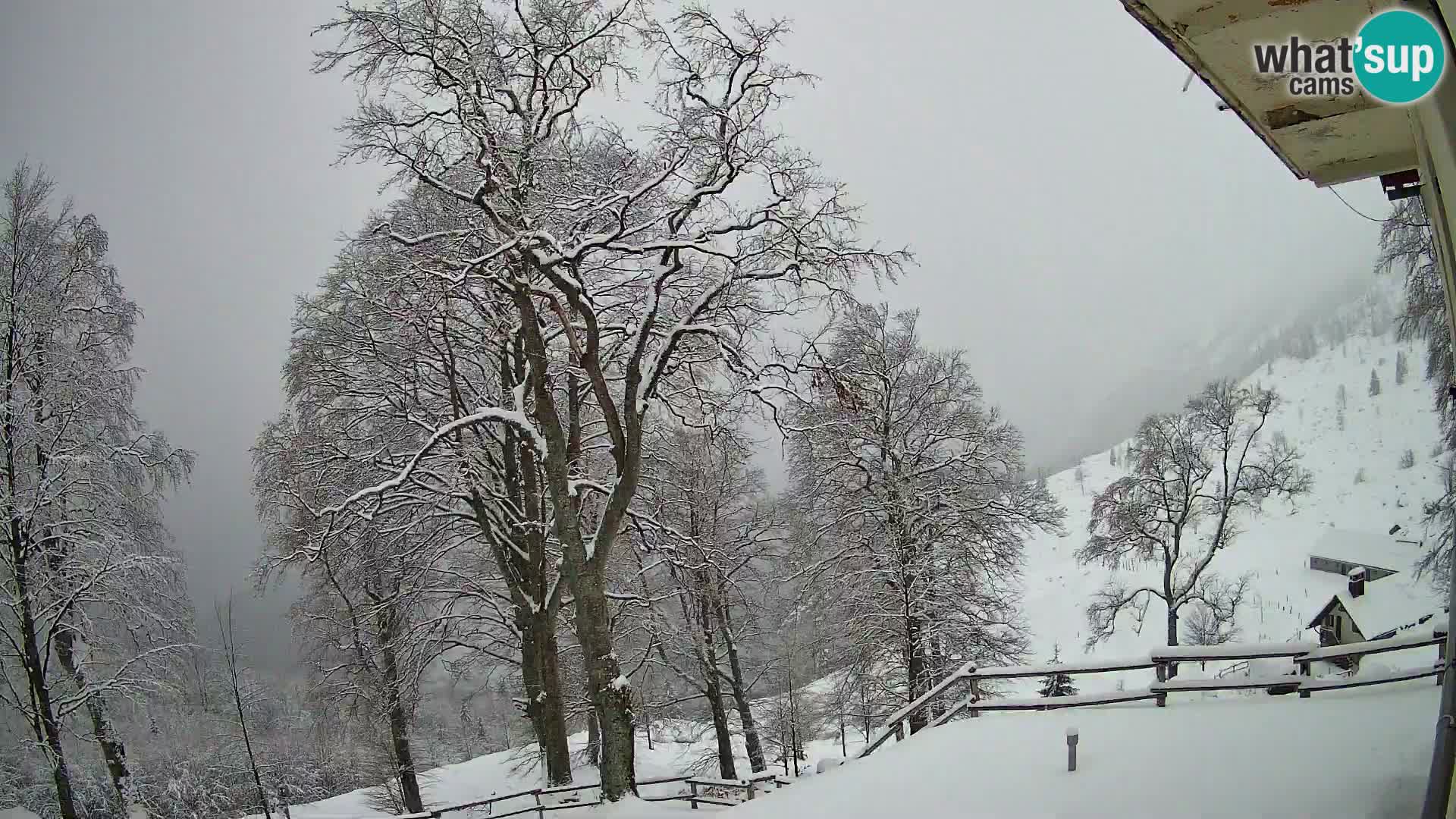 Planina Razor Mountain Hut live cam (1315) | view to Tolminski Migovec