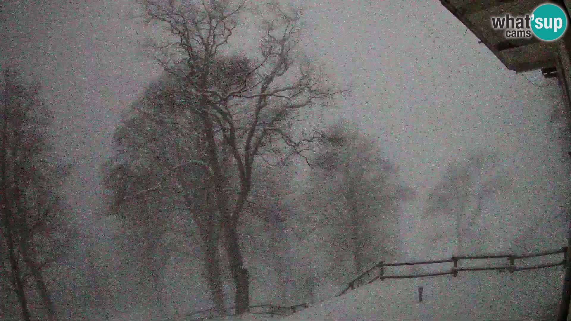 Refuge de la montagne Planina Razor caméra en direct (1315) | vue sur Tolminski Migovec